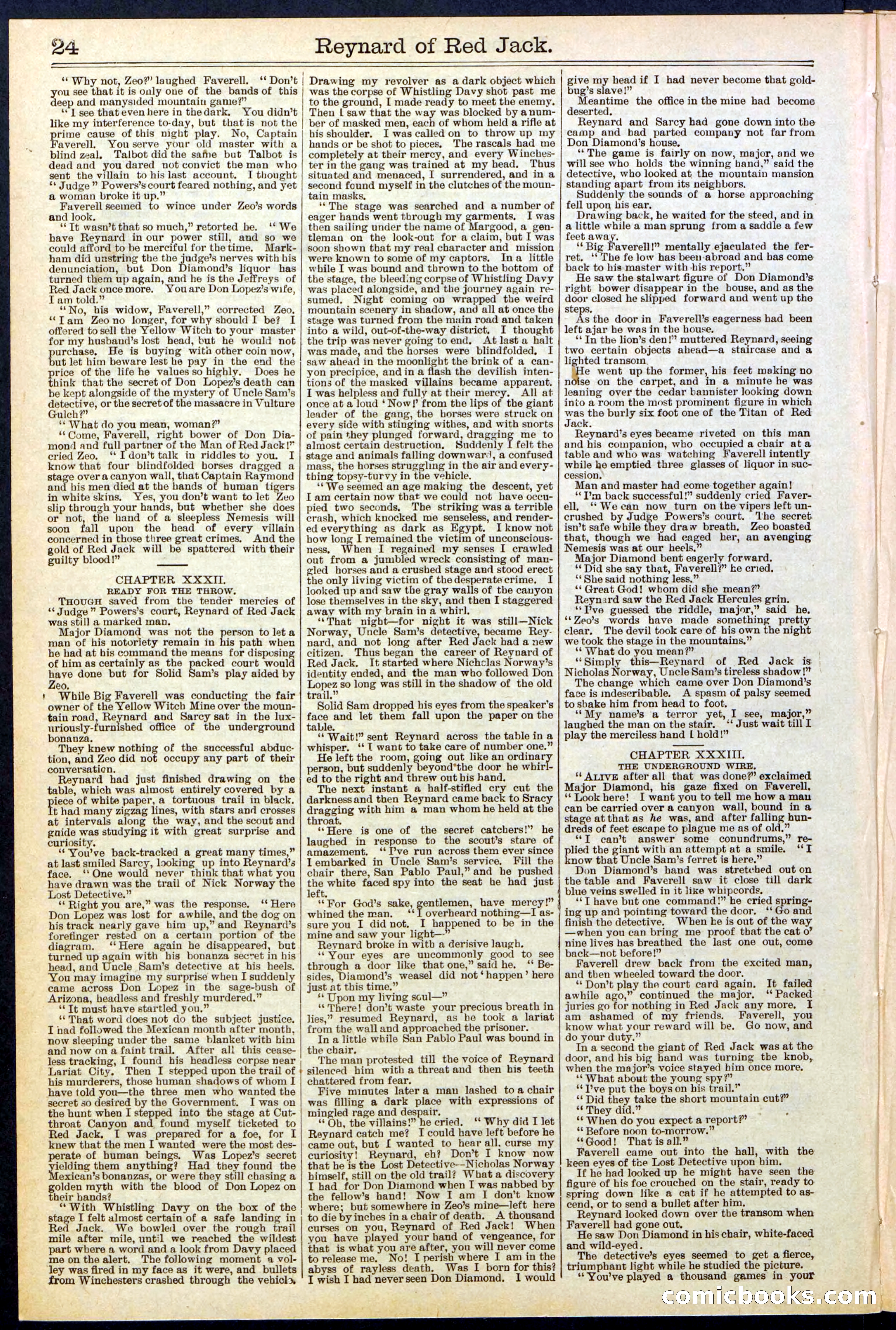 Beadle's New York Dime Library No. 523 — page 24 of 32