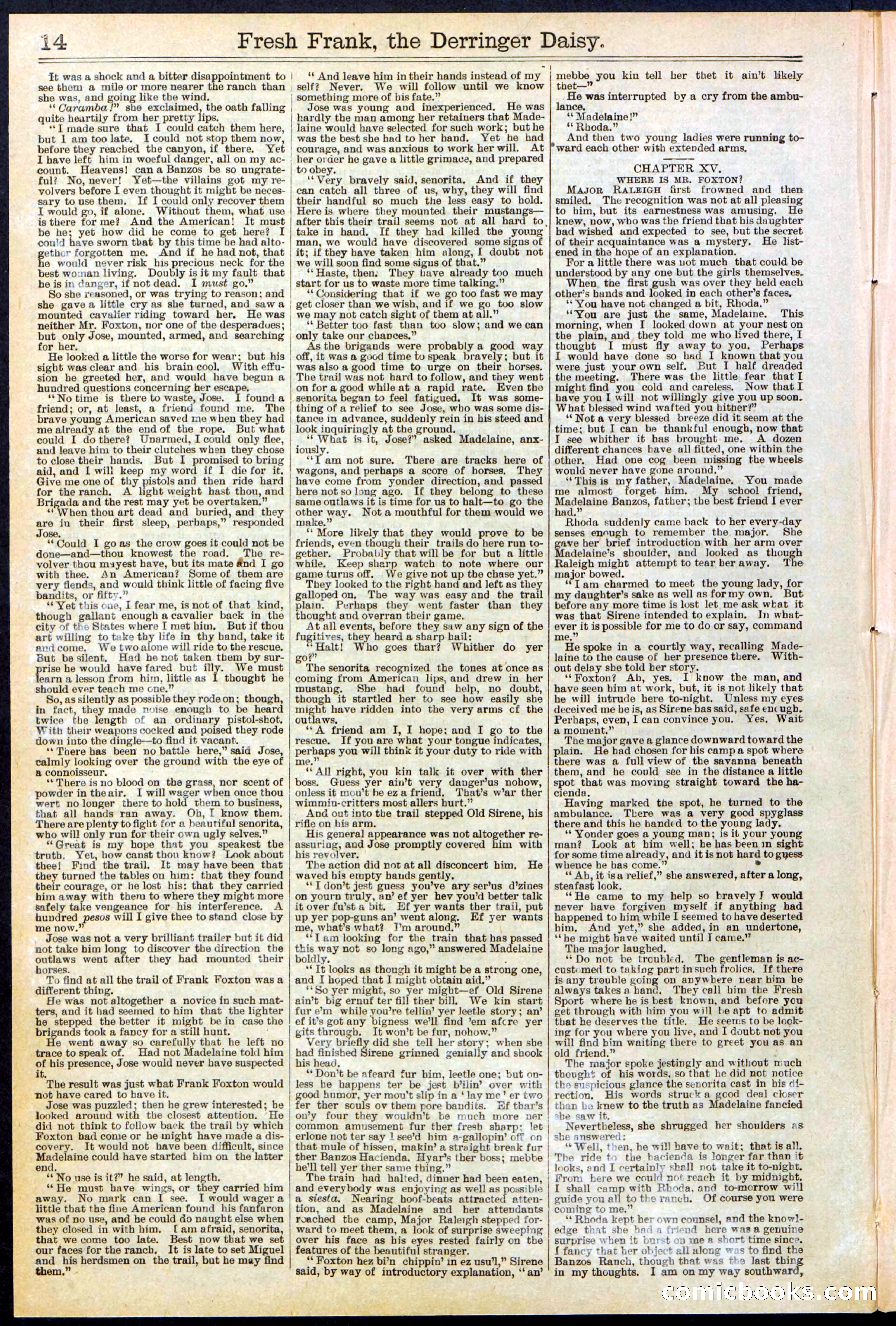 Beadle's New York Dime Library No. 525 — page 14 of 32