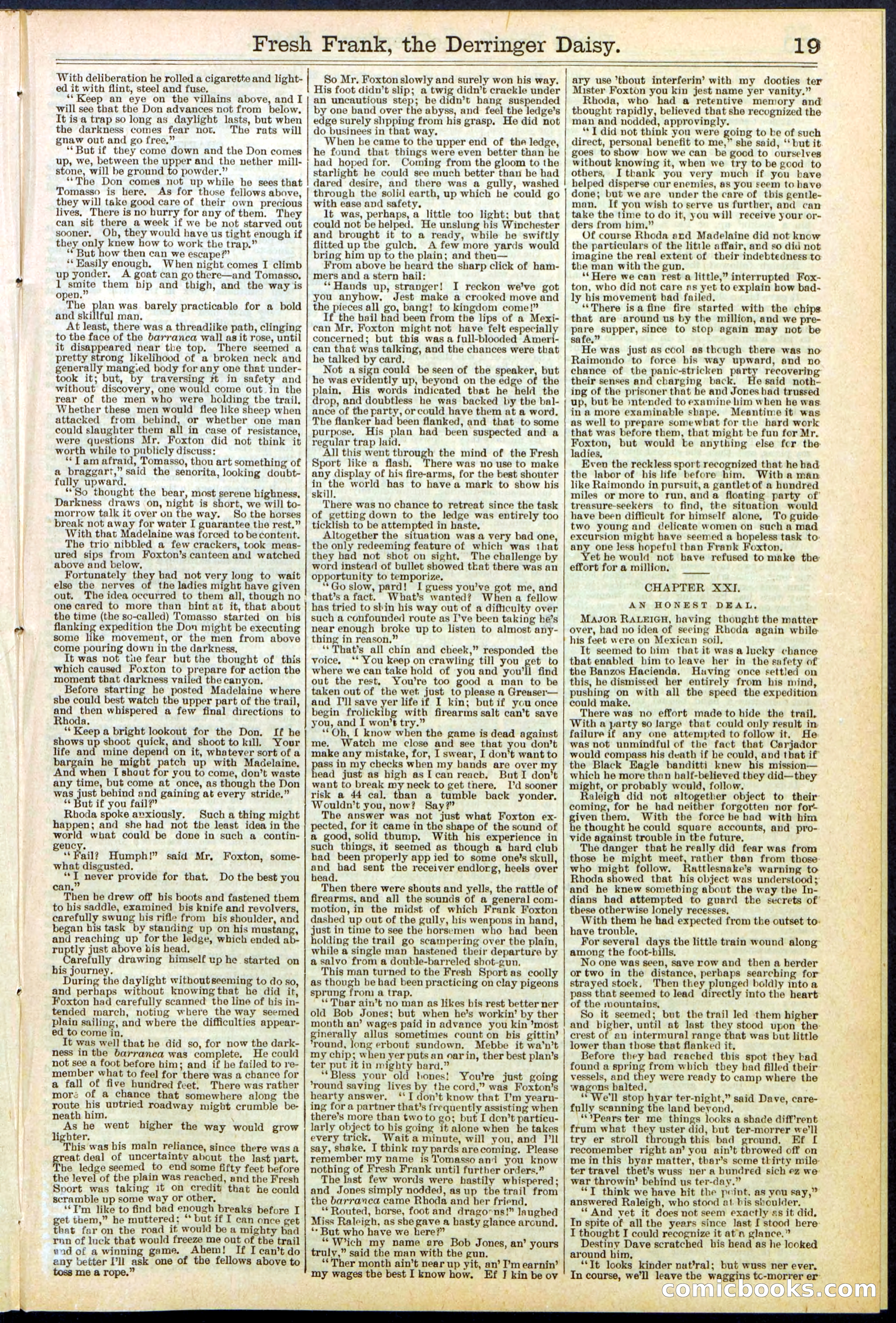 Beadle's New York Dime Library No. 525 — page 19 of 32
