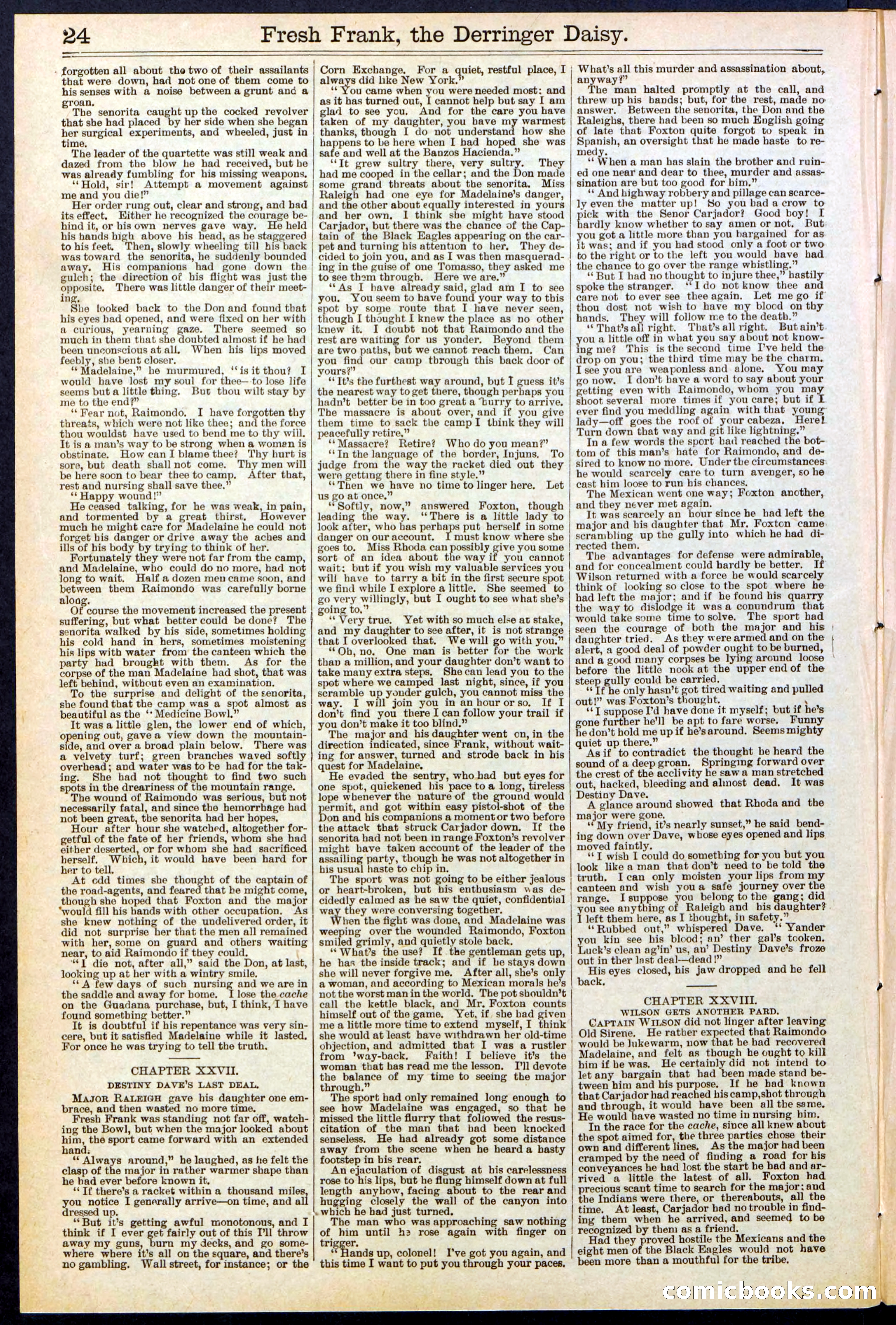 Beadle's New York Dime Library No. 525 — page 24 of 32