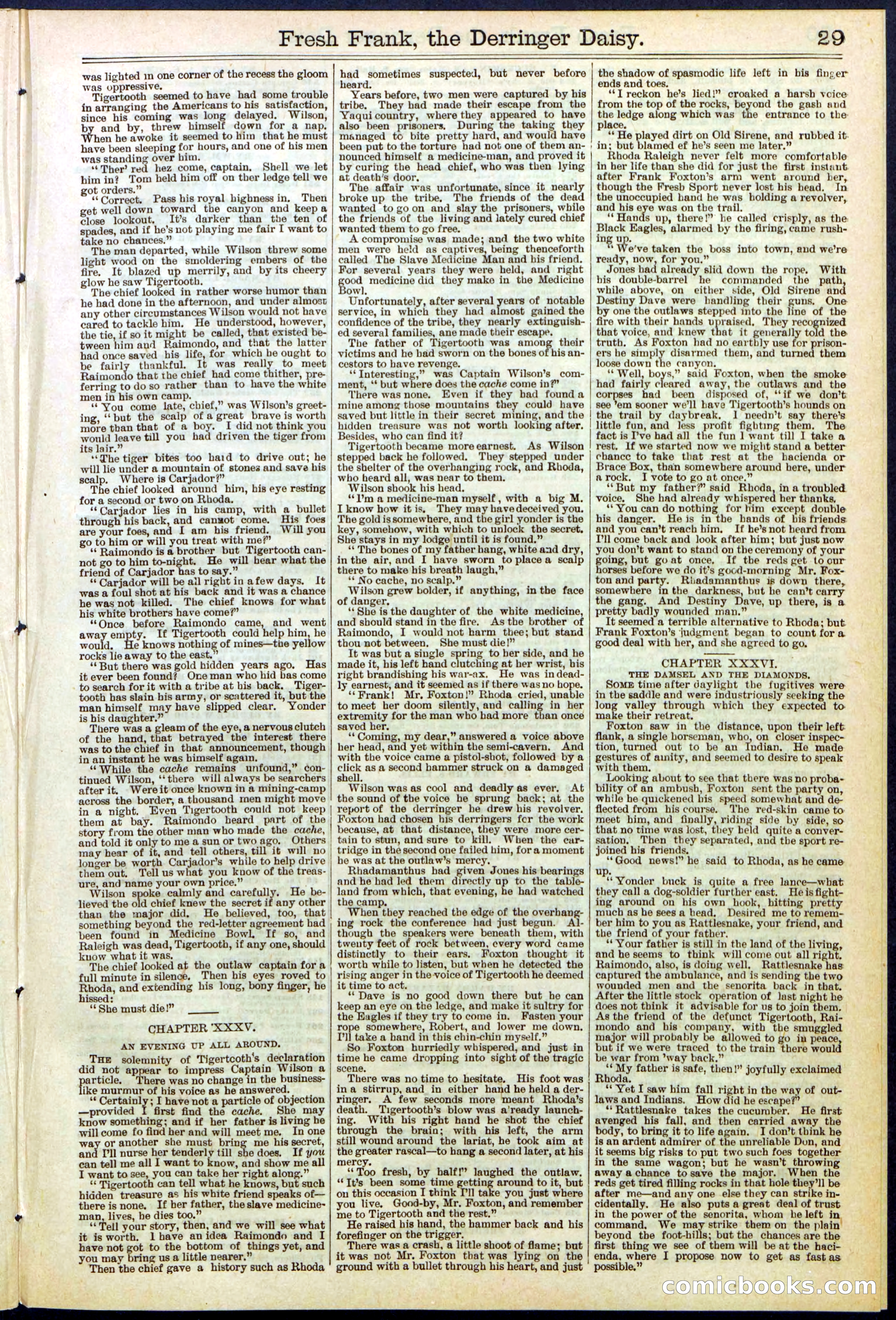 Beadle's New York Dime Library No. 525 — page 29 of 32