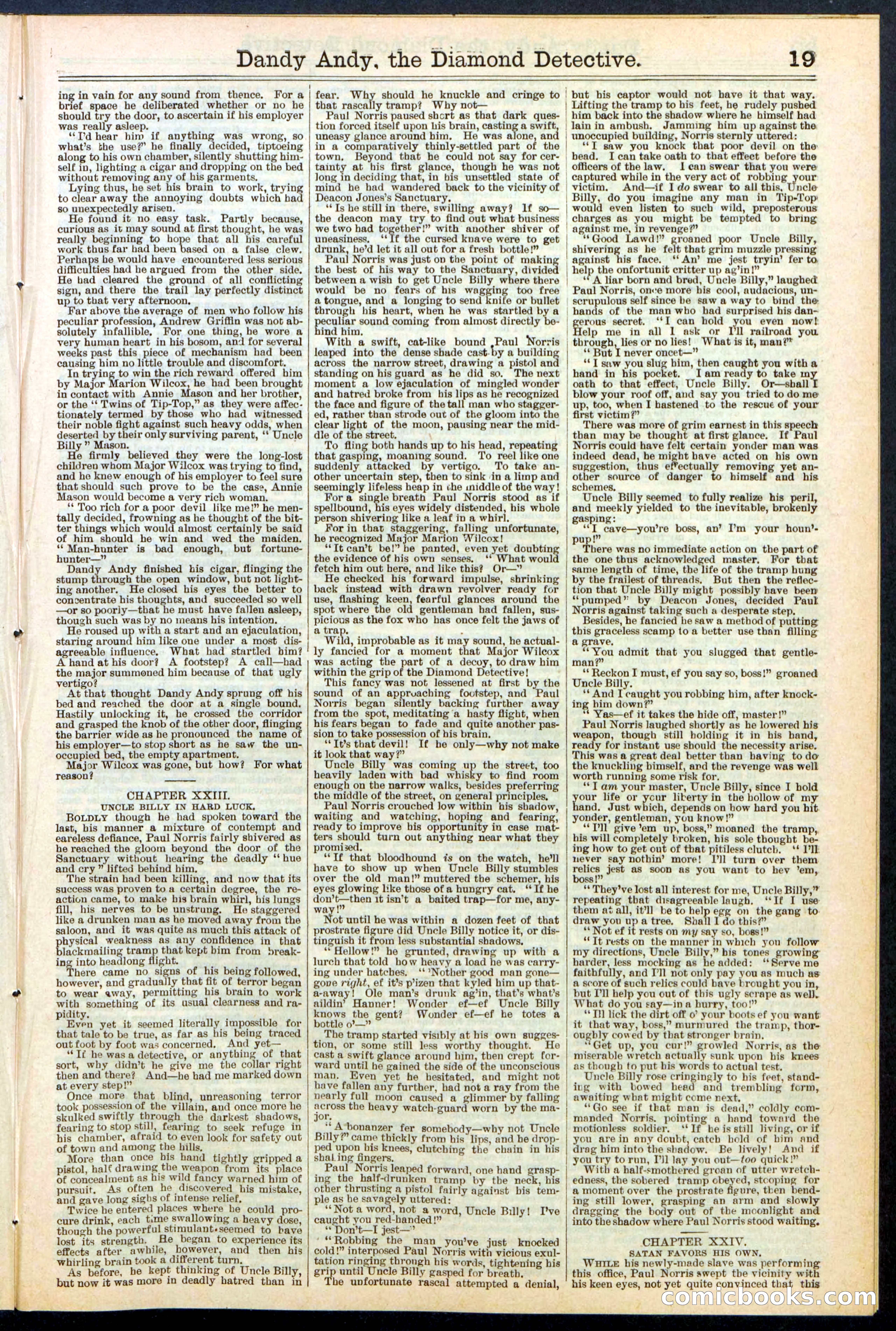 Beadle's Dime Library No. 527 — page 19 of 32