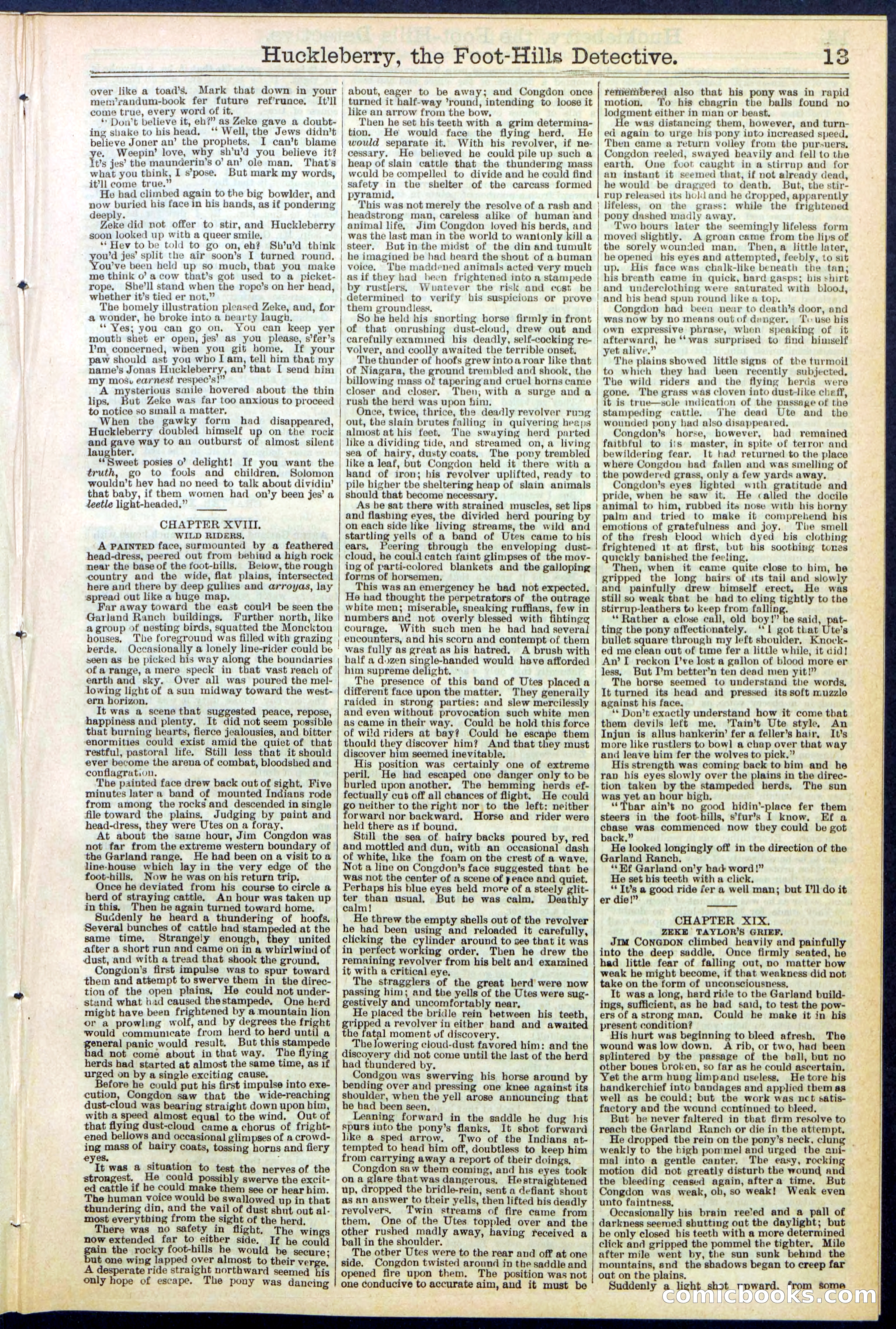 Beadle's New York Dime Library No. 528 — page 13 of 32