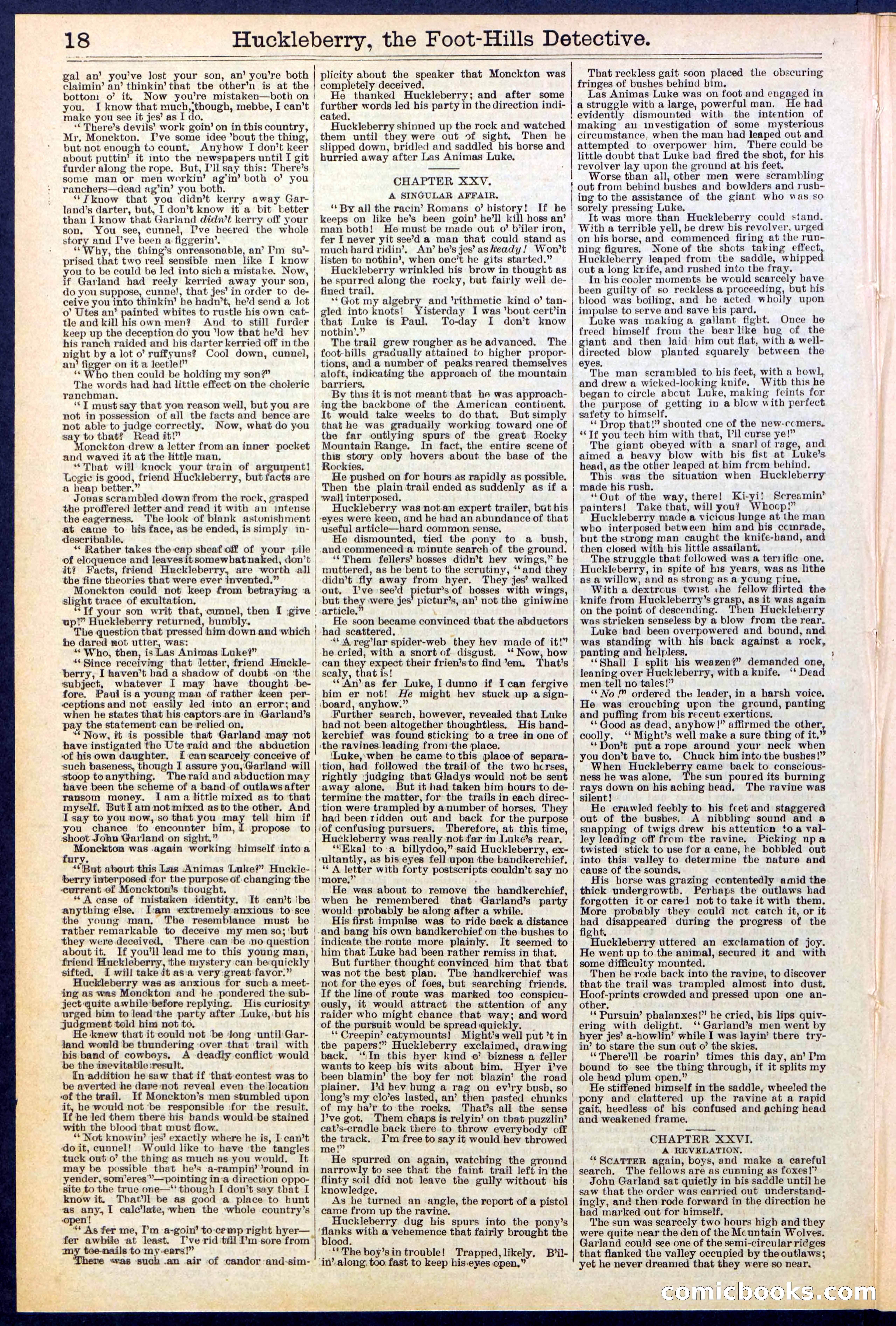 Beadle's New York Dime Library No. 528 — page 18 of 32