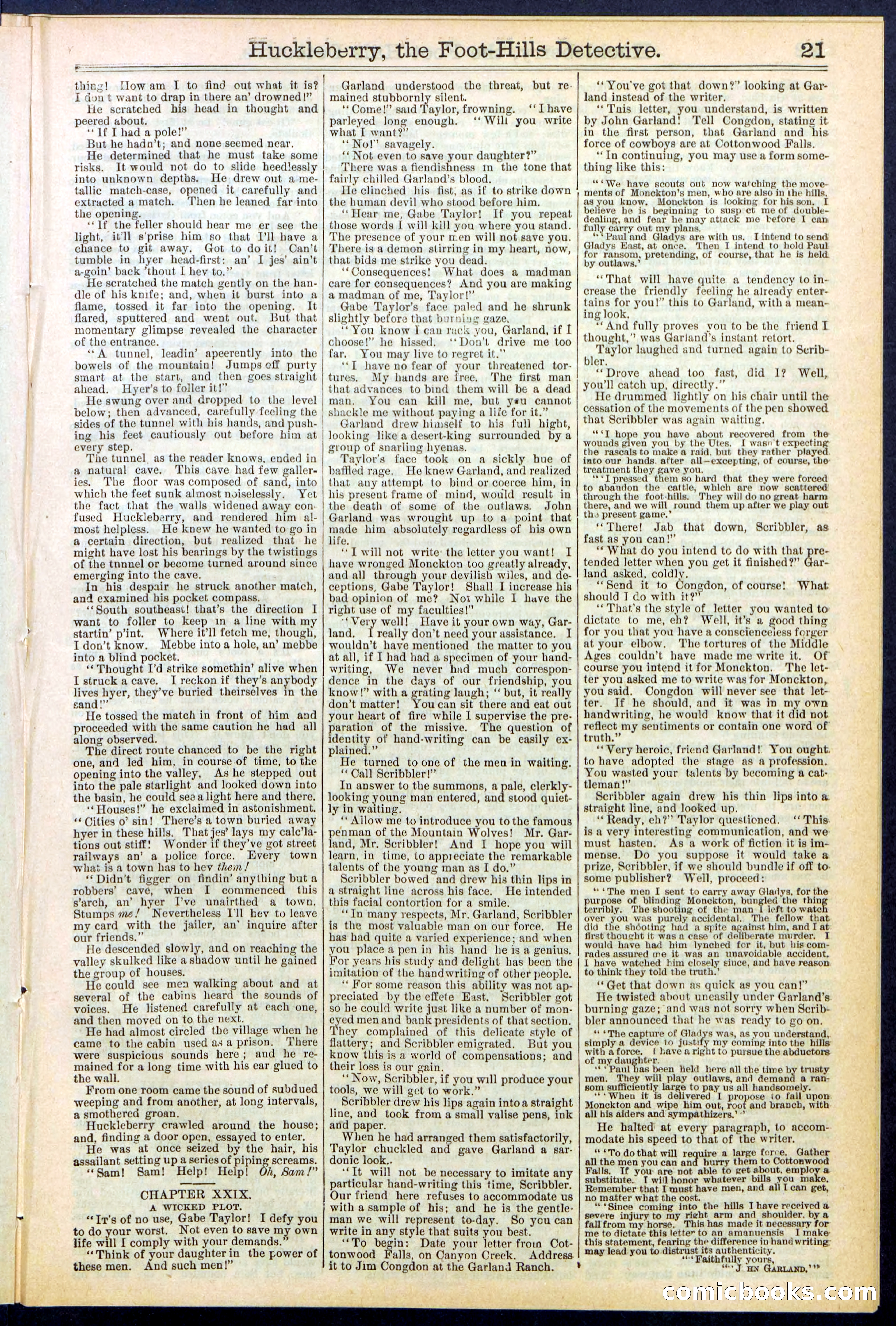 Beadle's New York Dime Library No. 528 — page 21 of 32