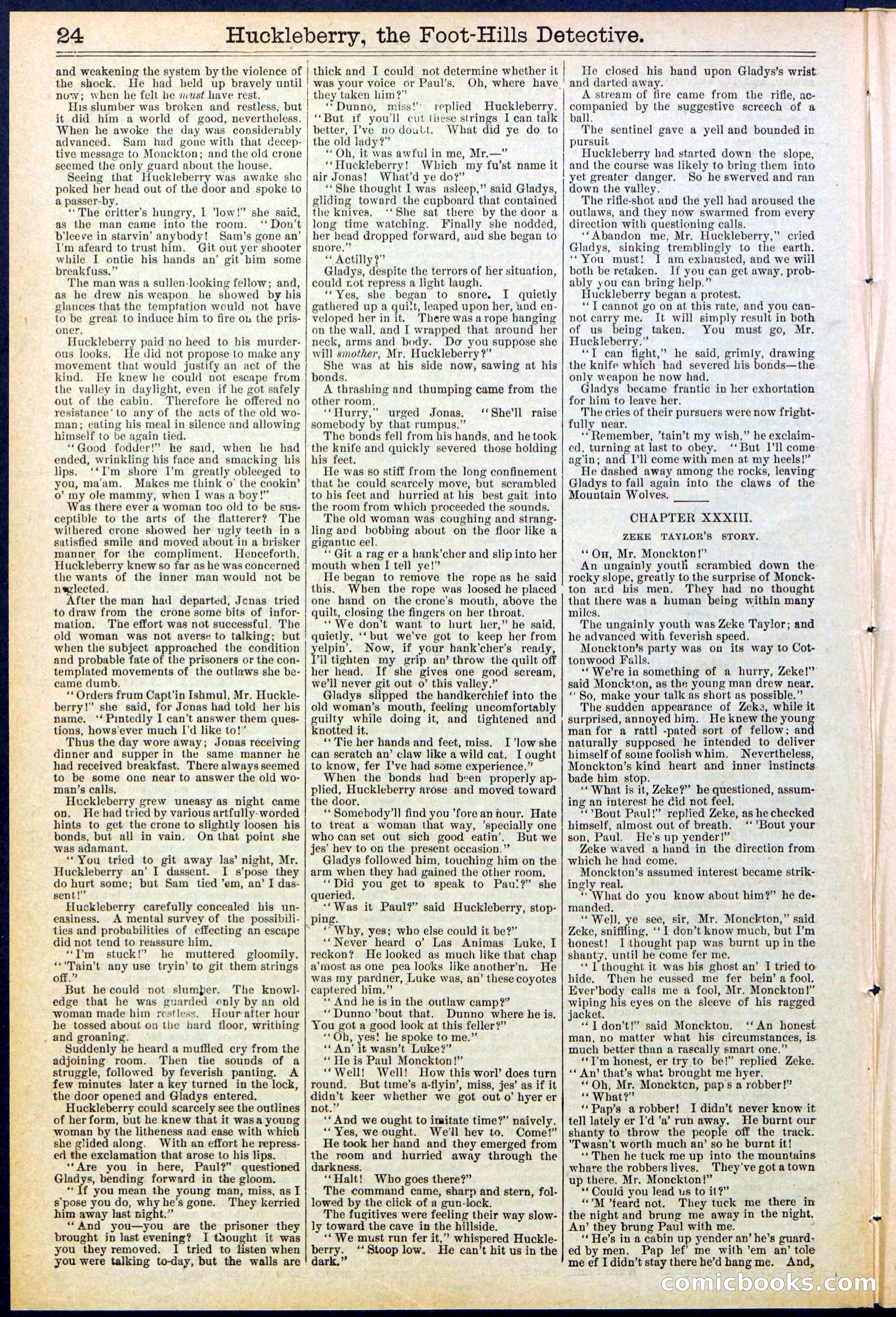 Beadle's New York Dime Library No. 528 — page 24 of 32