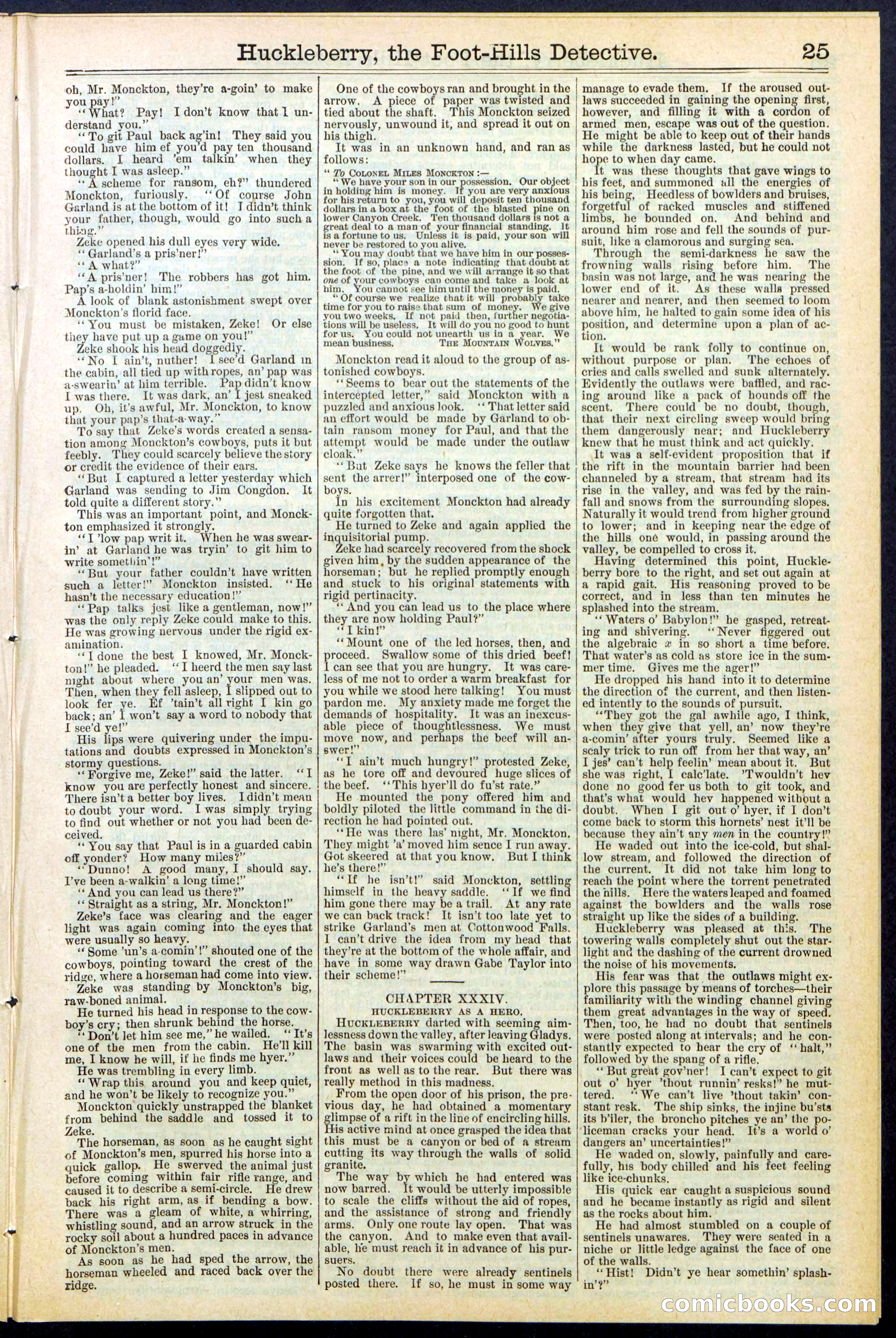 Beadle's New York Dime Library No. 528 — page 25 of 32