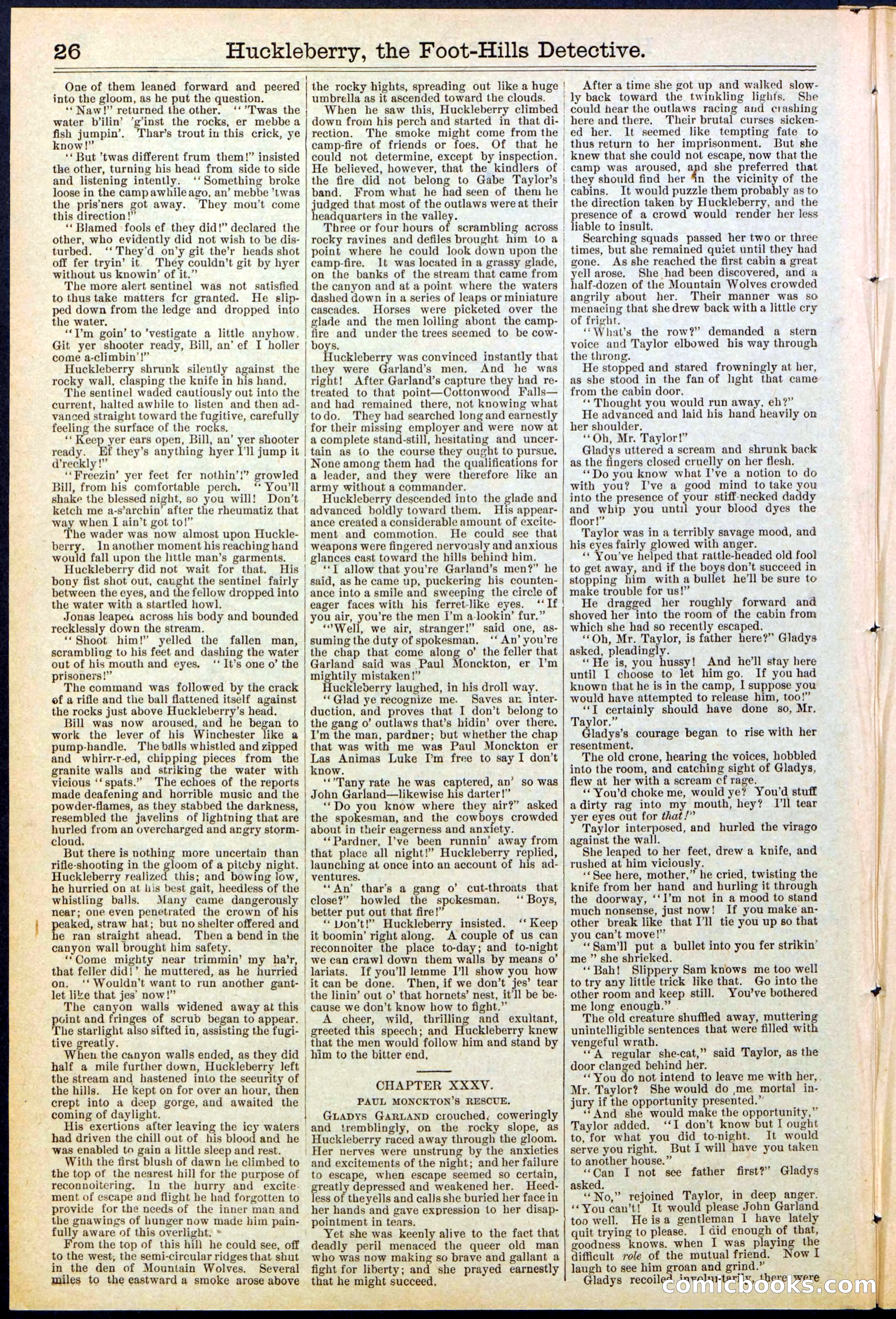 Beadle's New York Dime Library No. 528 — page 26 of 32