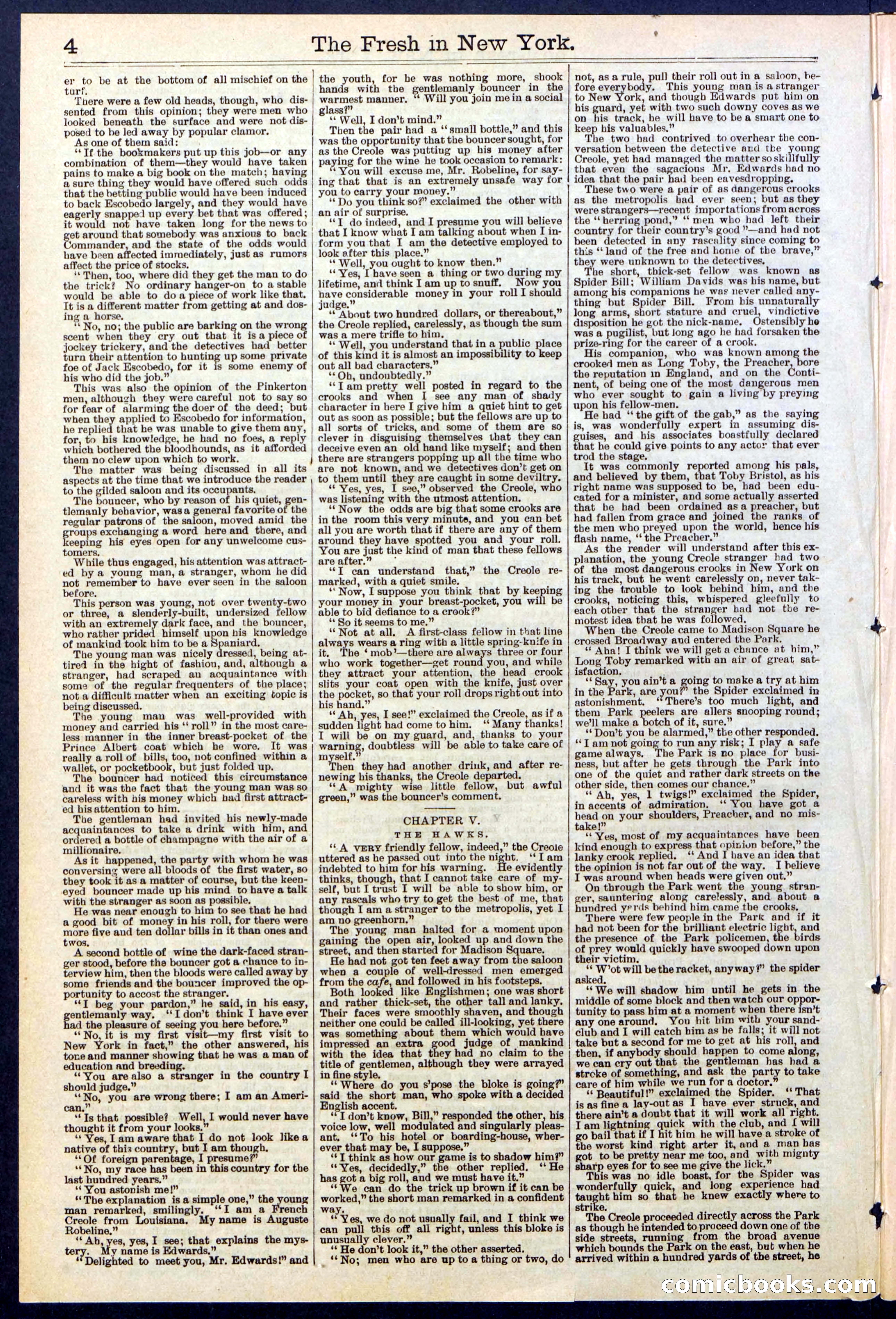Beadle's New York Dime Library, No. 529 — page 4 of 32