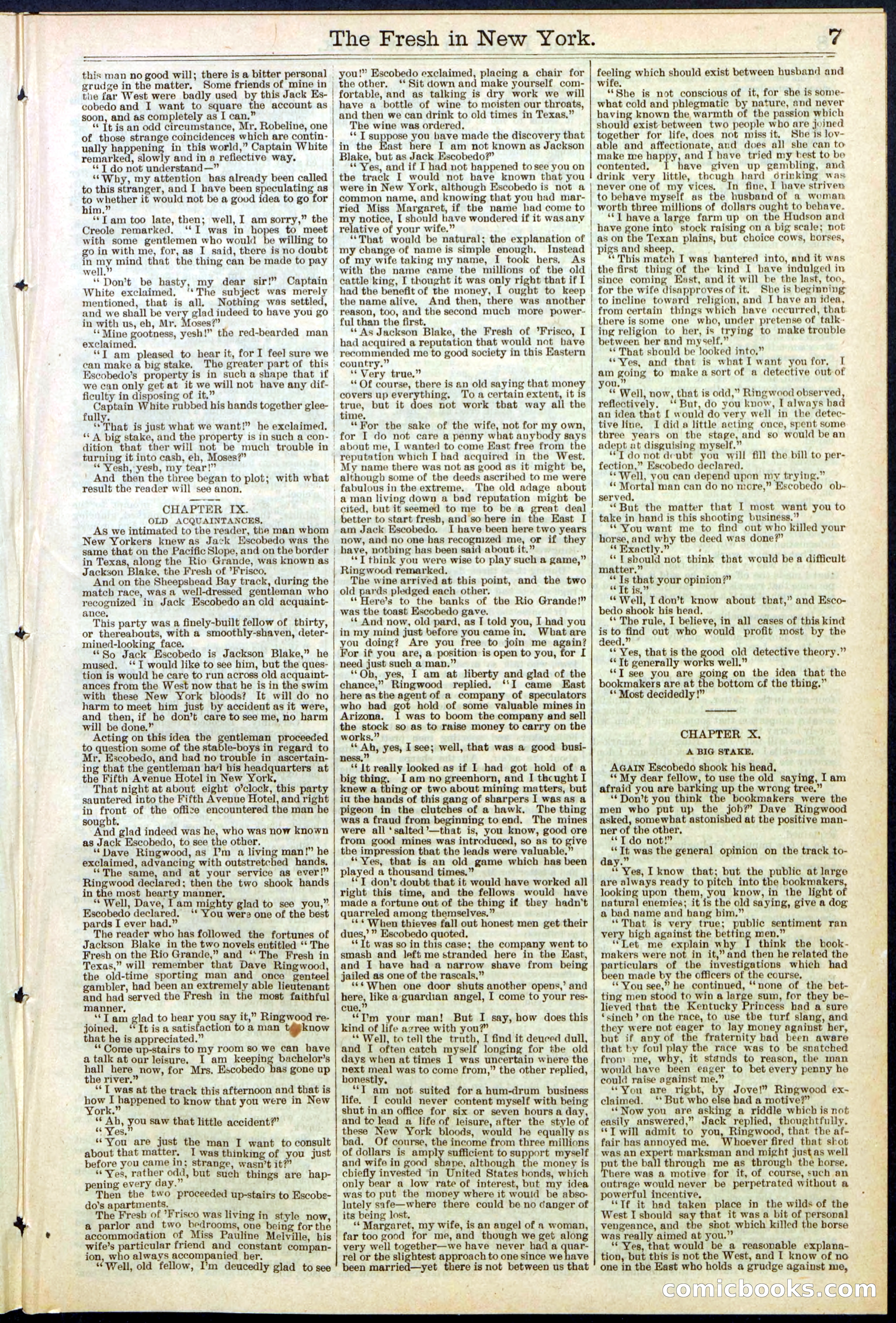 Beadle's New York Dime Library, No. 529 — page 7 of 32