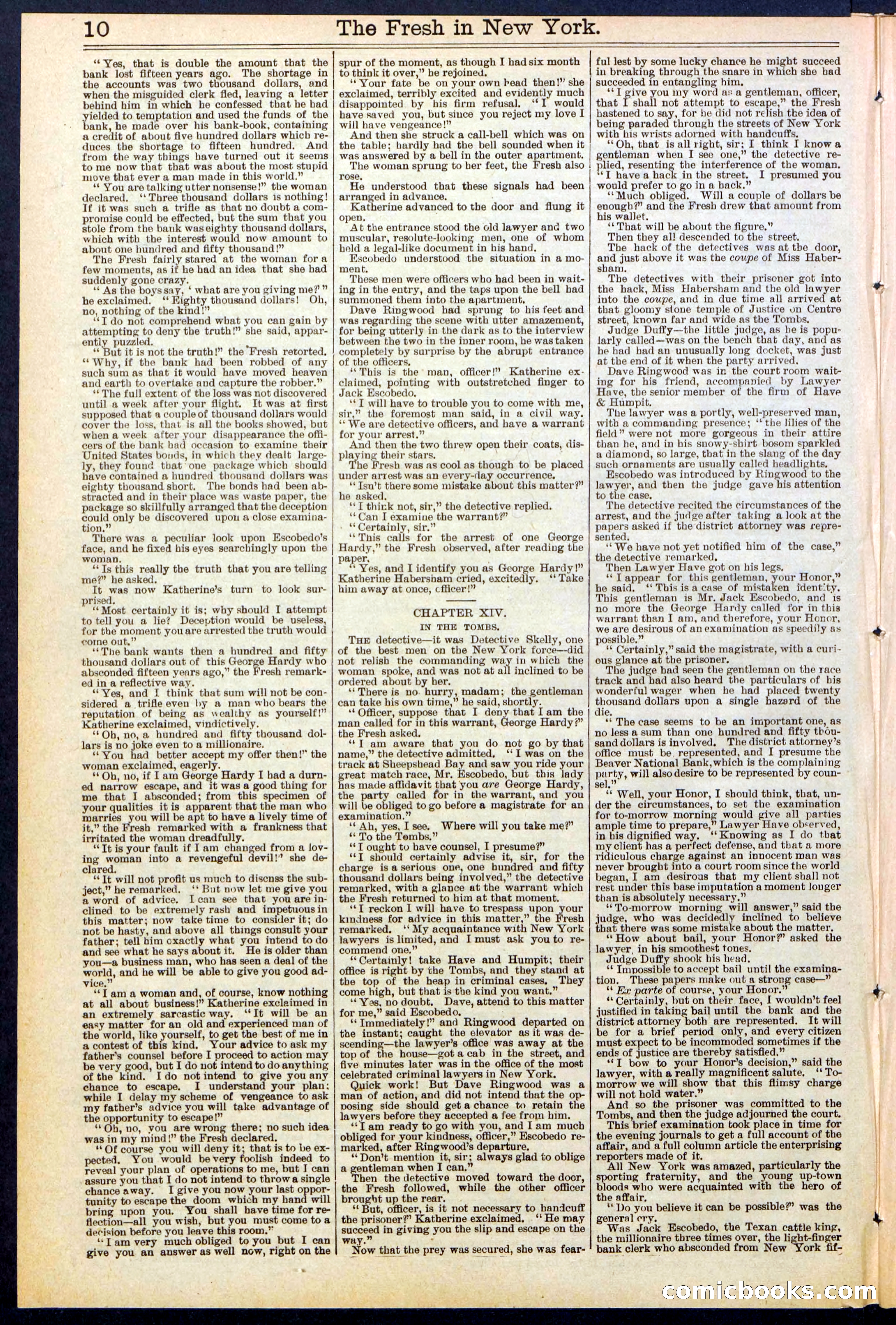 Beadle's New York Dime Library, No. 529 — page 10 of 32