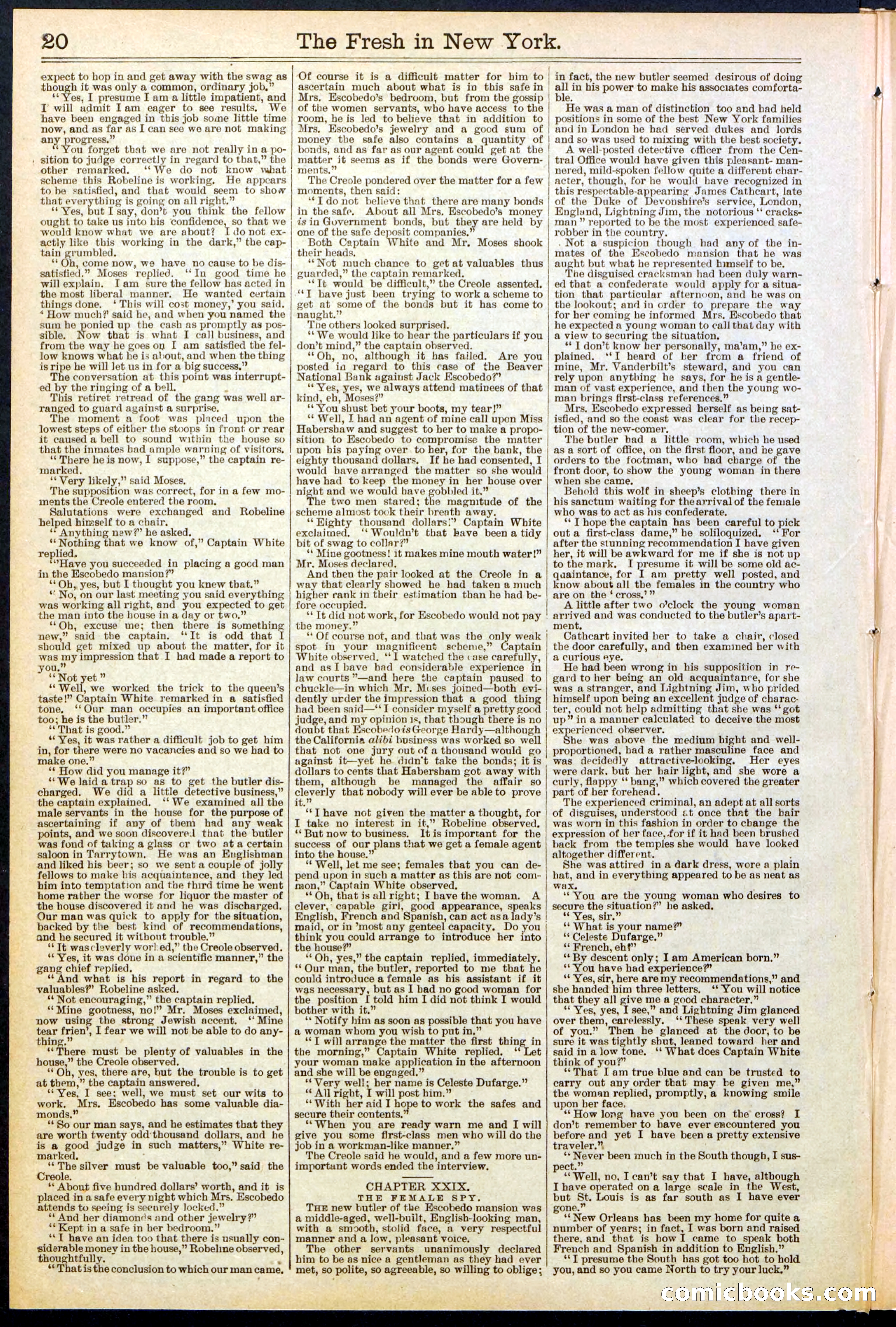Beadle's New York Dime Library, No. 529 — page 20 of 32