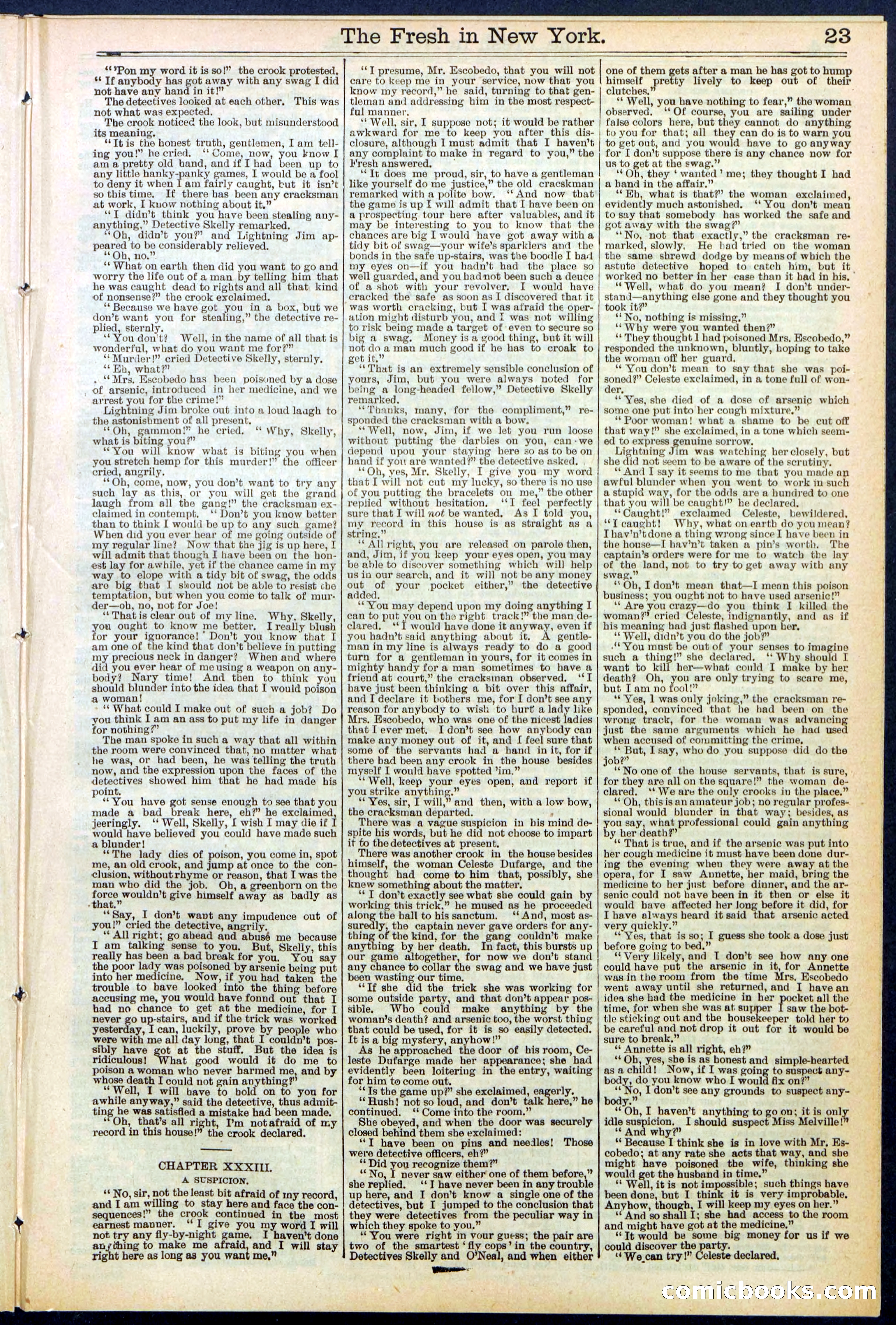 Beadle's New York Dime Library, No. 529 — page 23 of 32