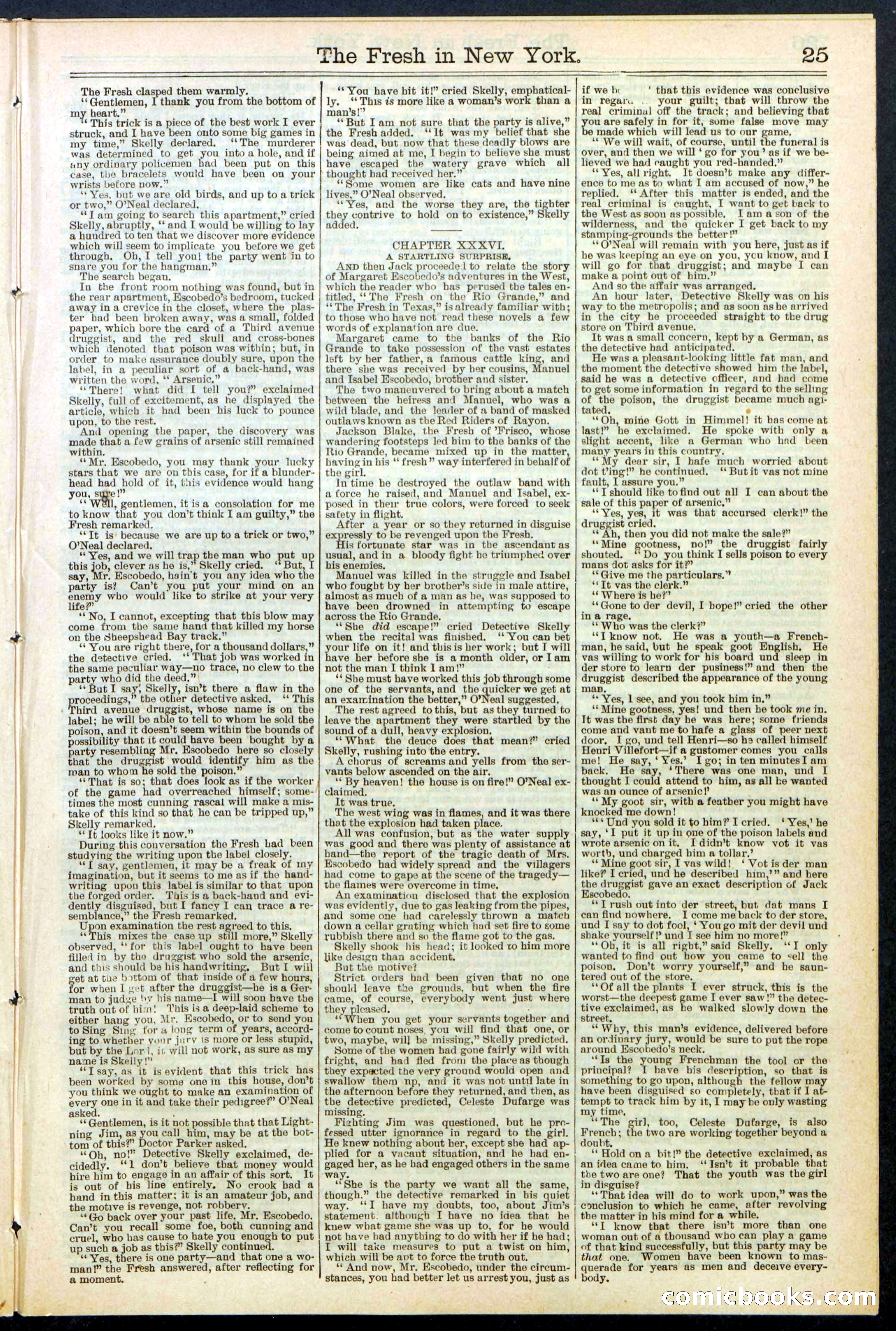 Beadle's New York Dime Library, No. 529 — page 25 of 32