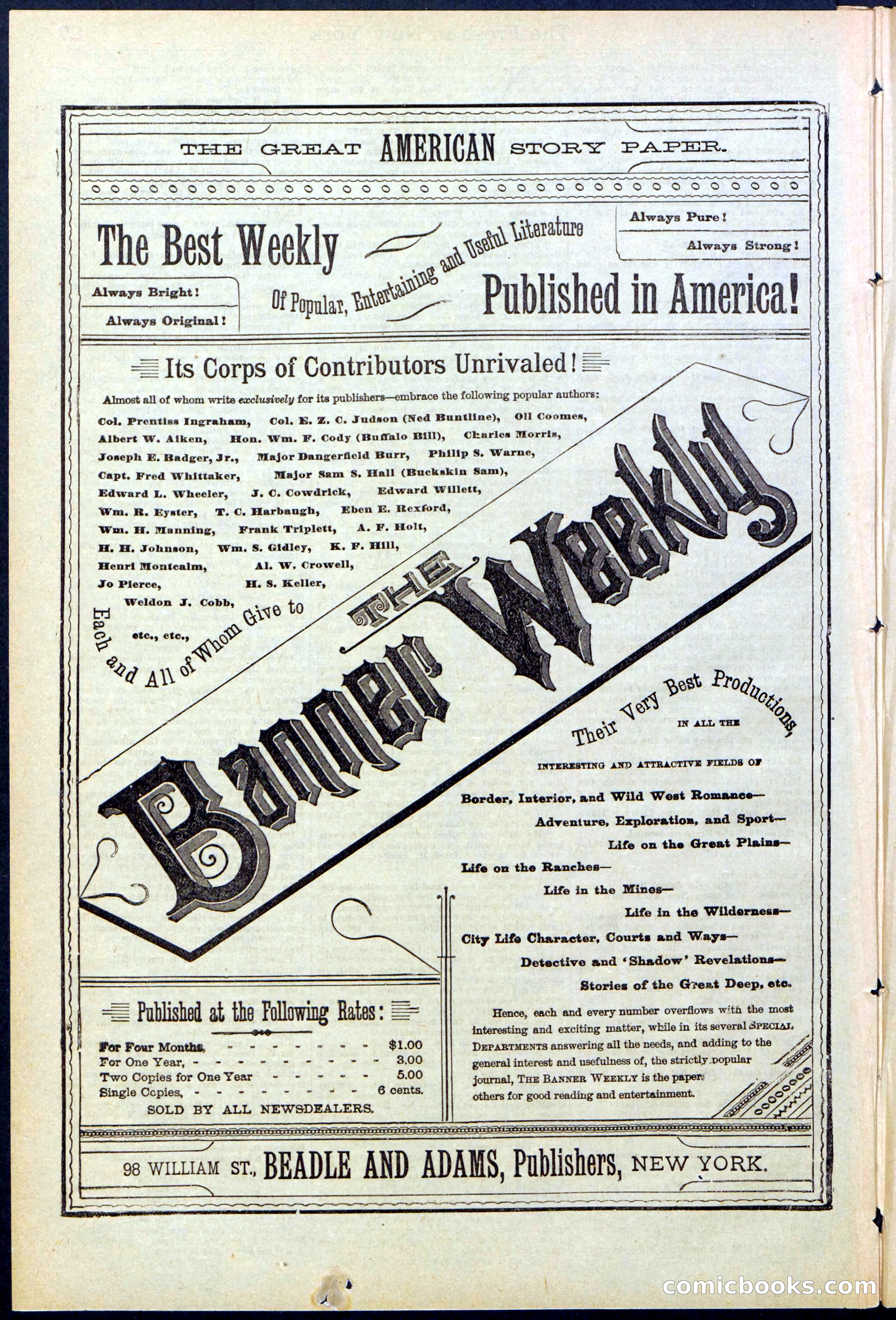 Beadle's New York Dime Library, No. 529 — page 28 of 32