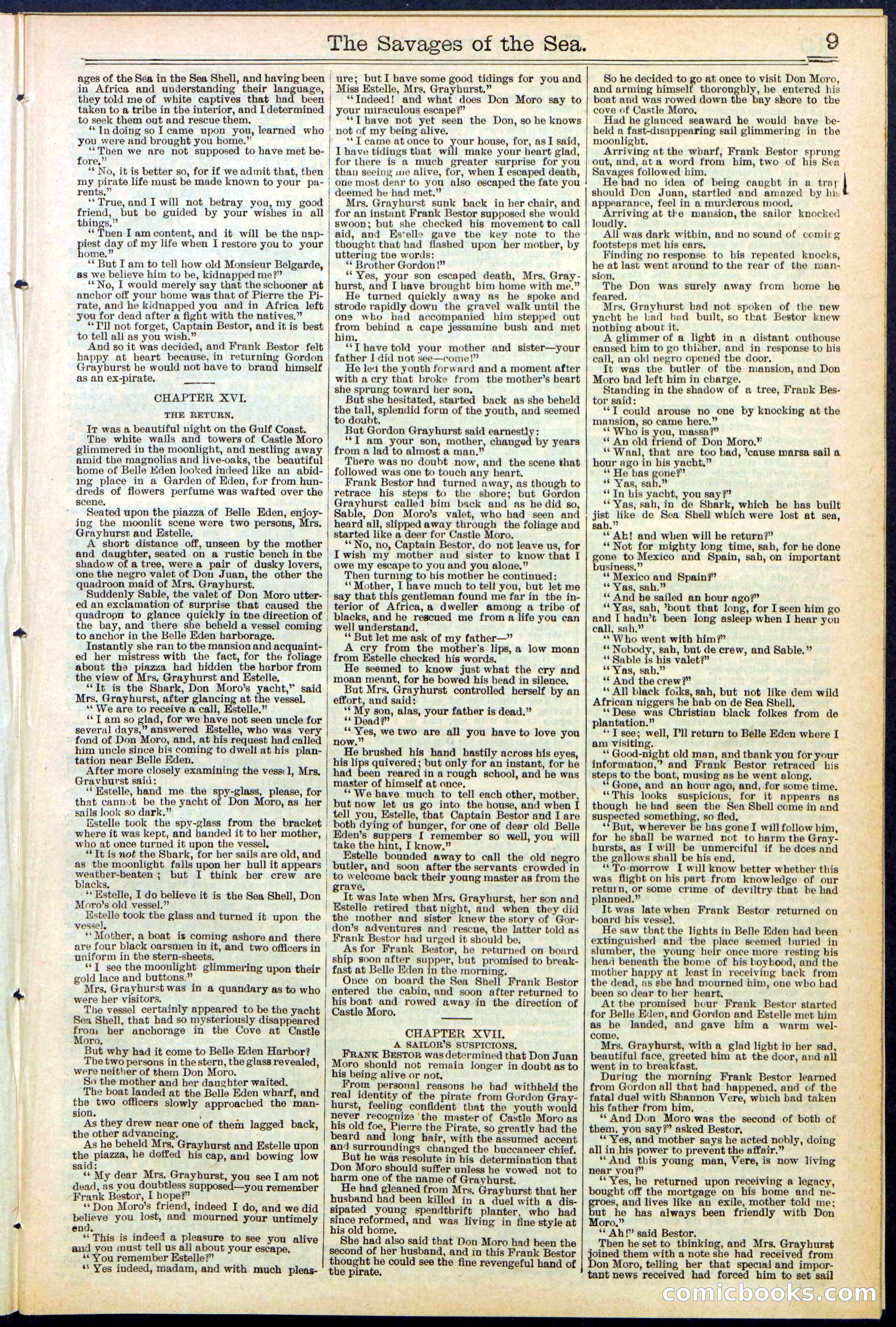 Beadle's New York Dime Library No. 530 — page 9 of 40