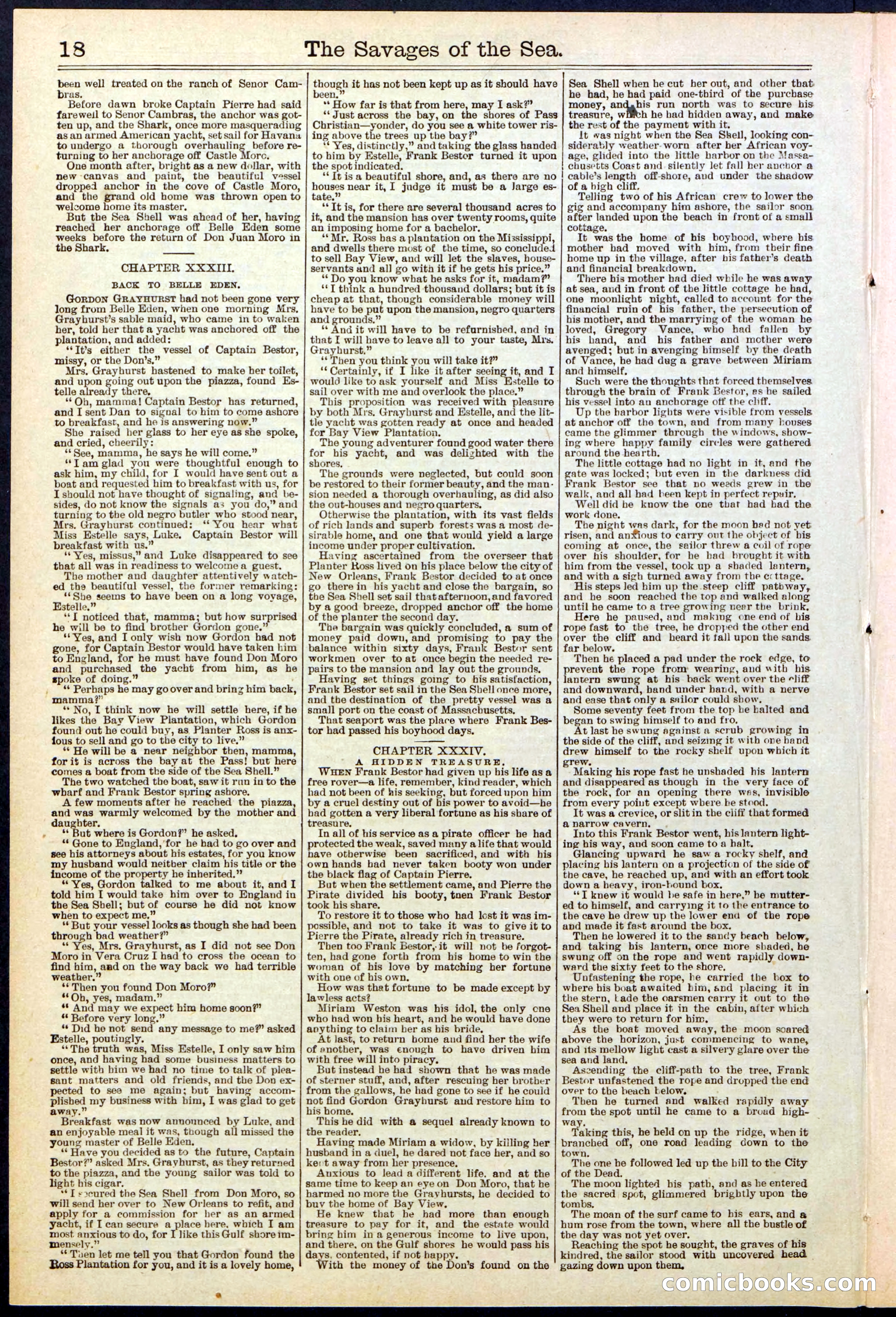 Beadle's New York Dime Library No. 530 — page 18 of 40