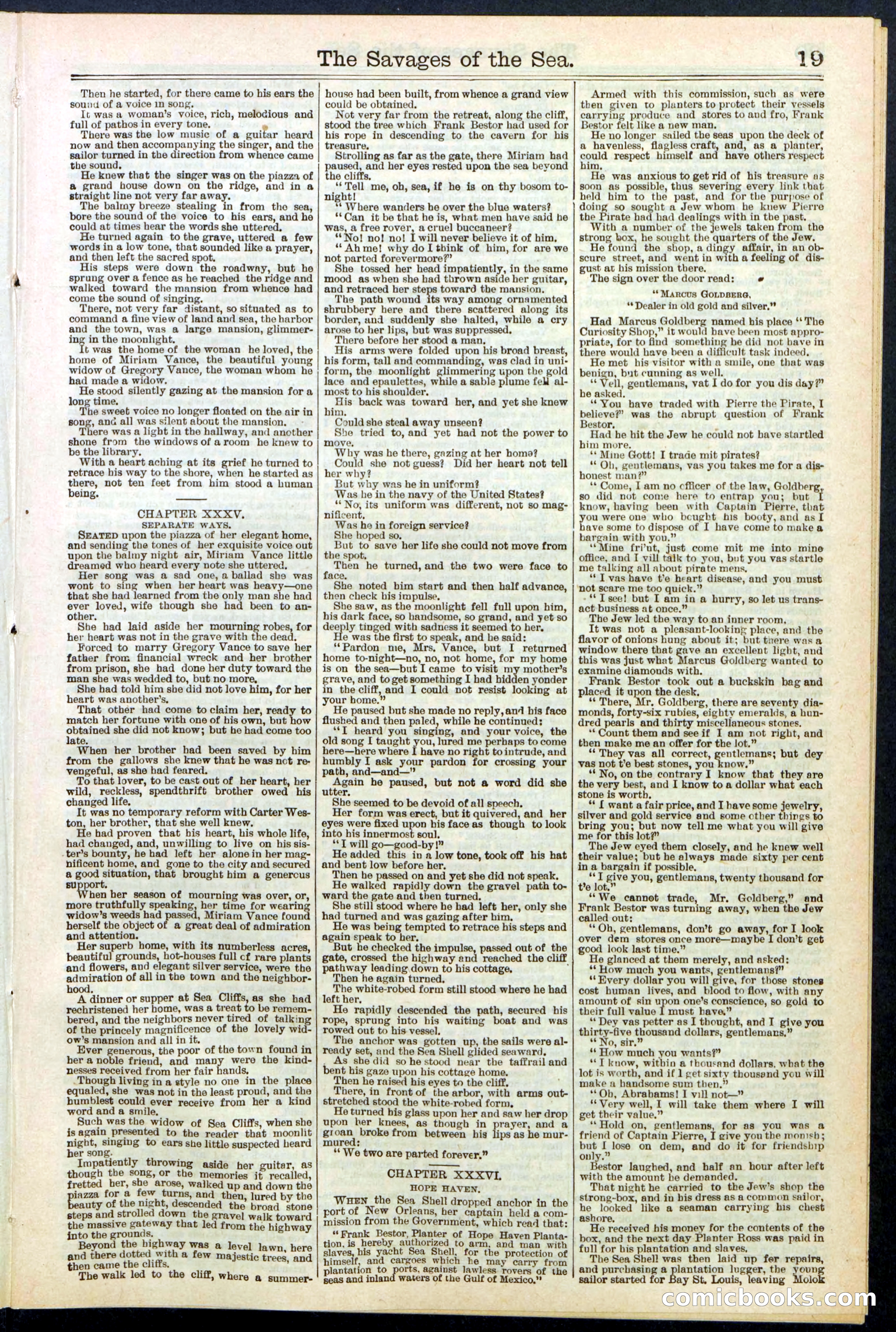 Beadle's New York Dime Library No. 530 — page 19 of 40
