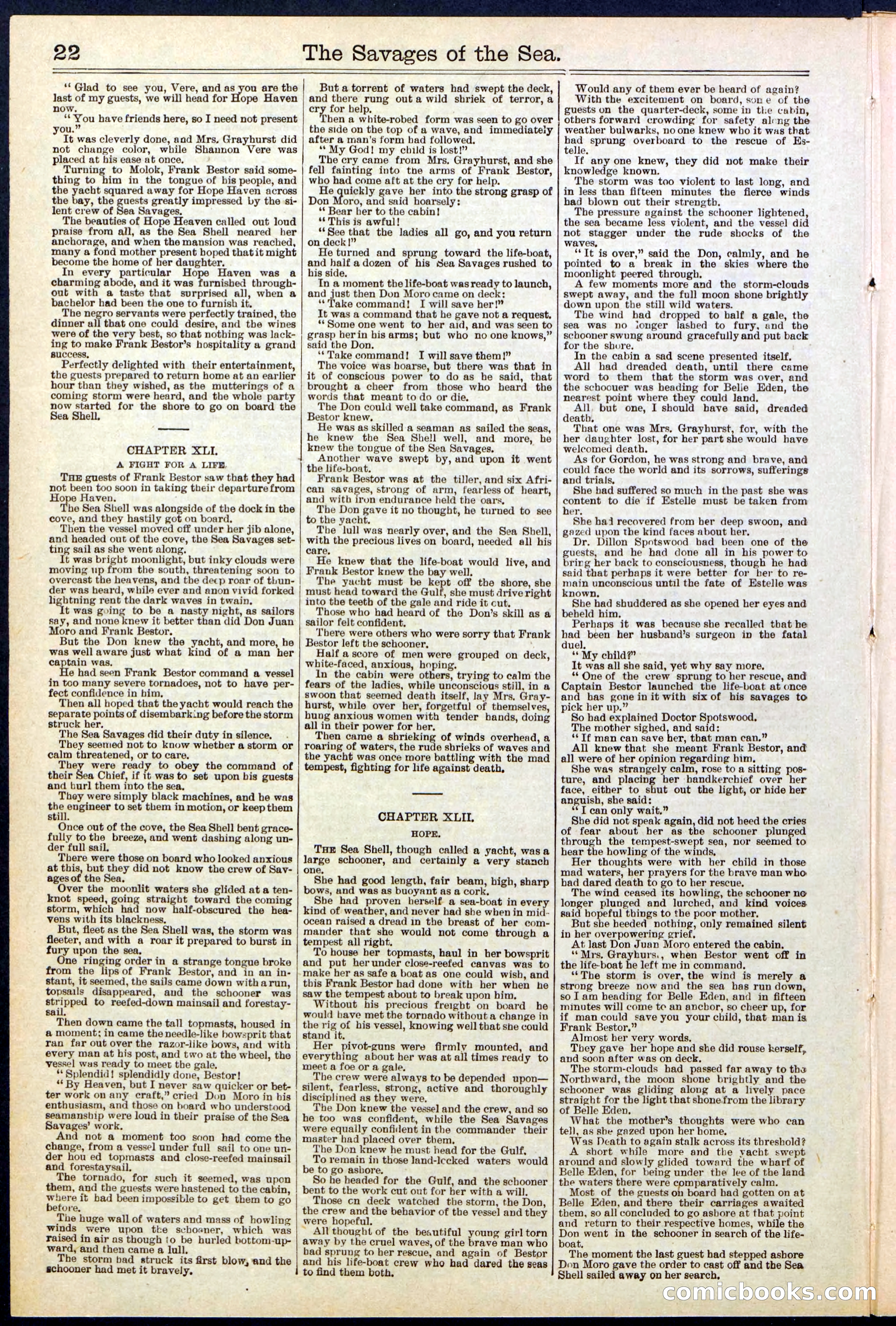 Beadle's New York Dime Library No. 530 — page 22 of 40