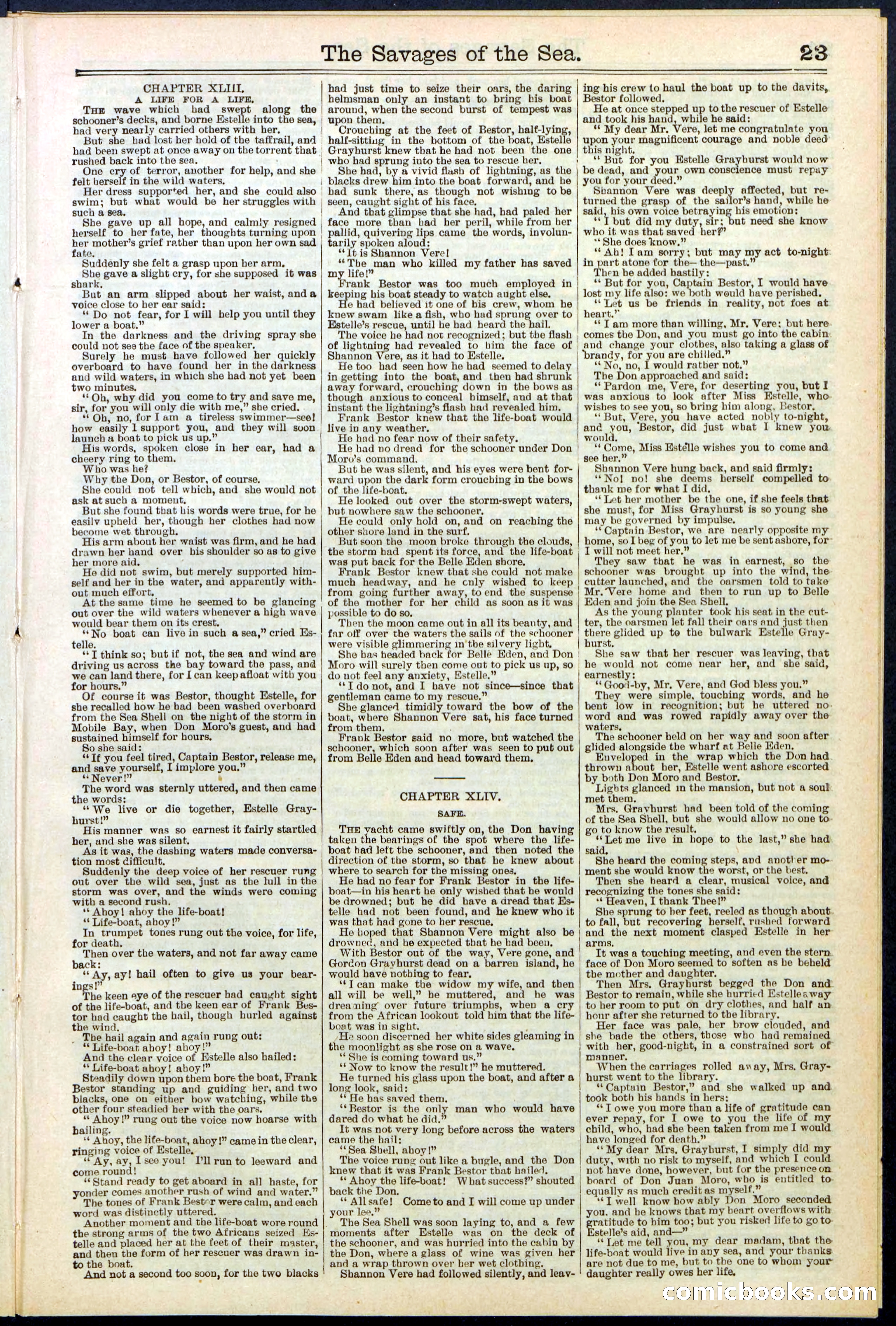Beadle's New York Dime Library No. 530 — page 23 of 40