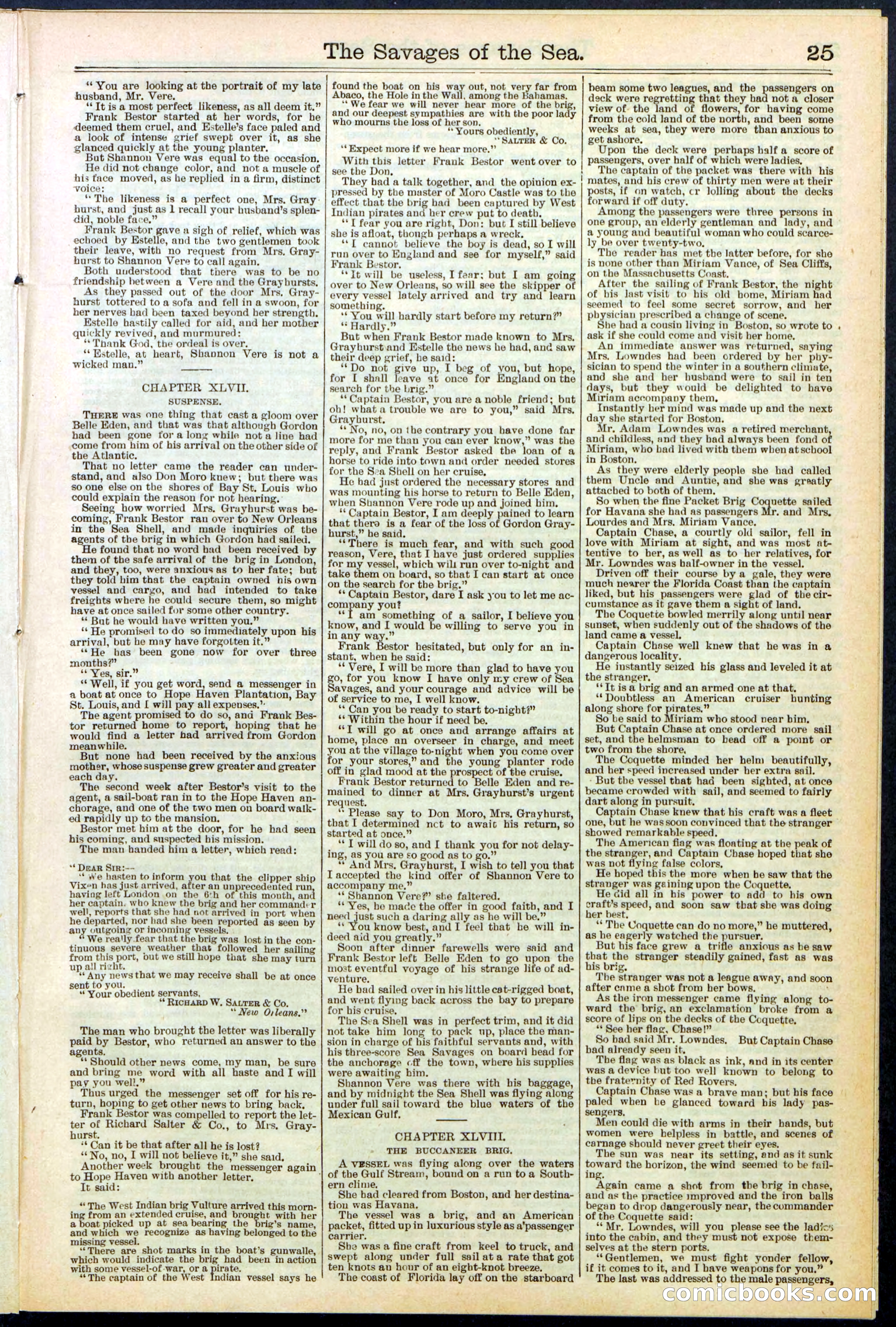 Beadle's New York Dime Library No. 530 — page 25 of 40
