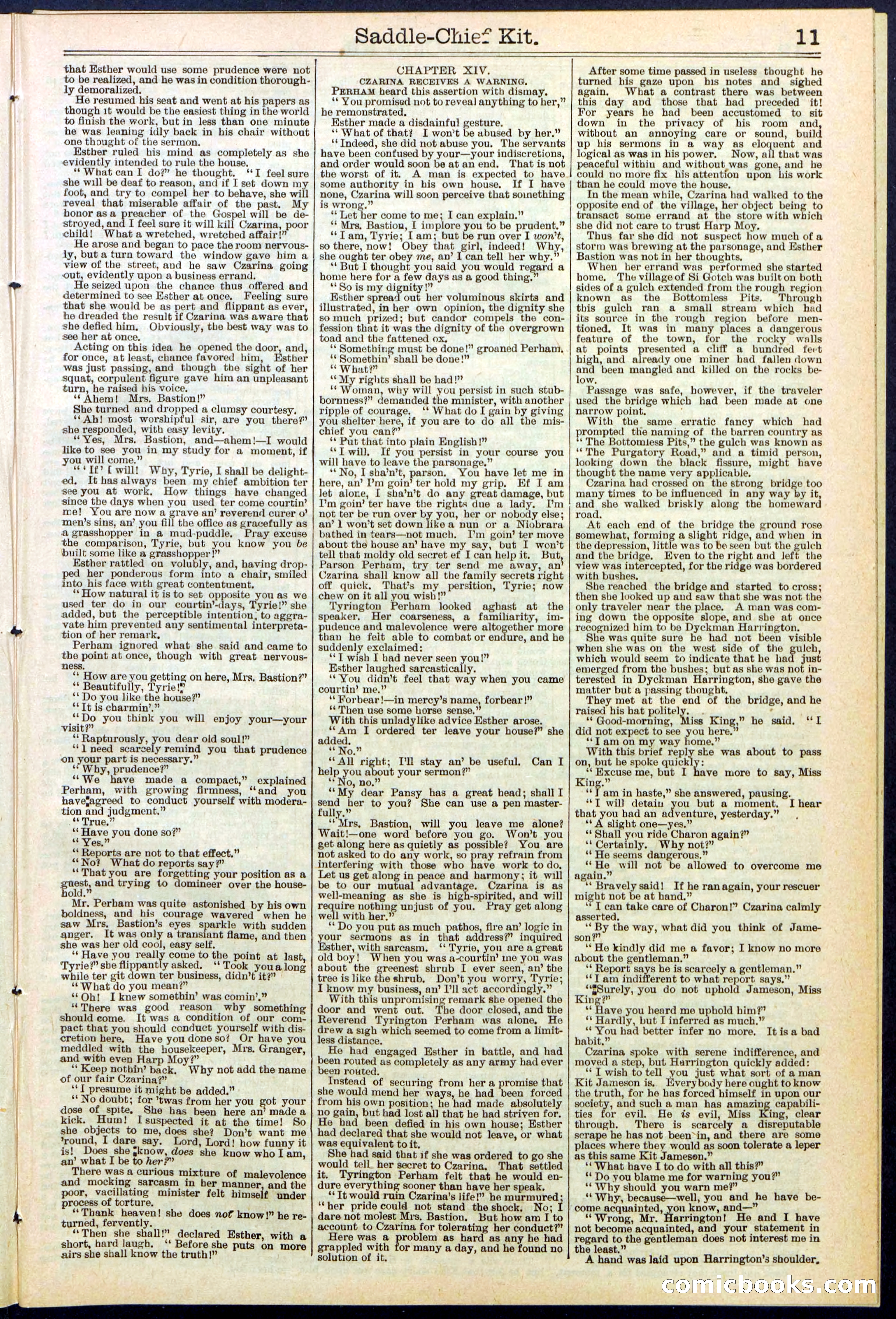 Beadle's New York Dime Library No. 531 — page 11 of 32