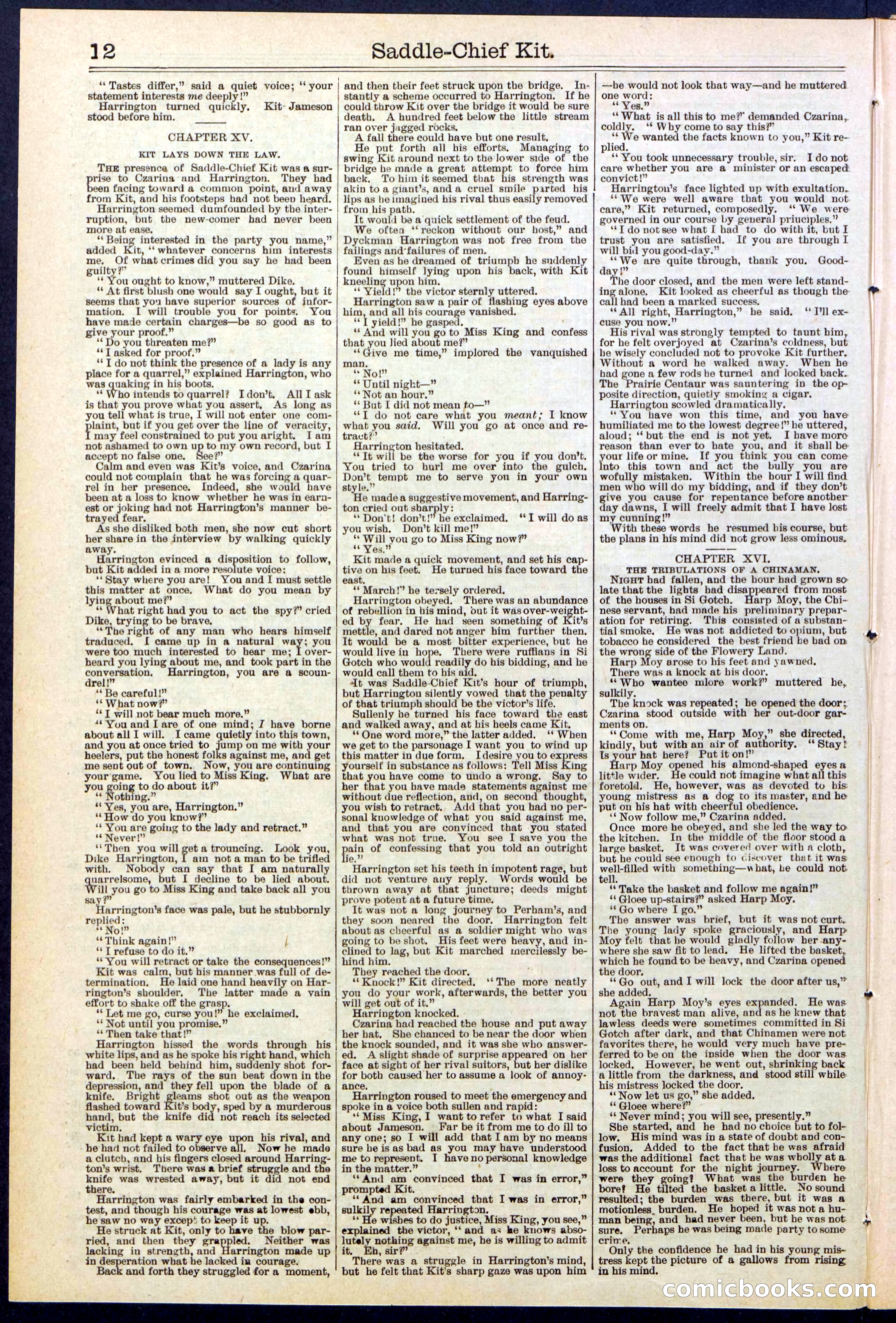 Beadle's New York Dime Library No. 531 — page 12 of 32