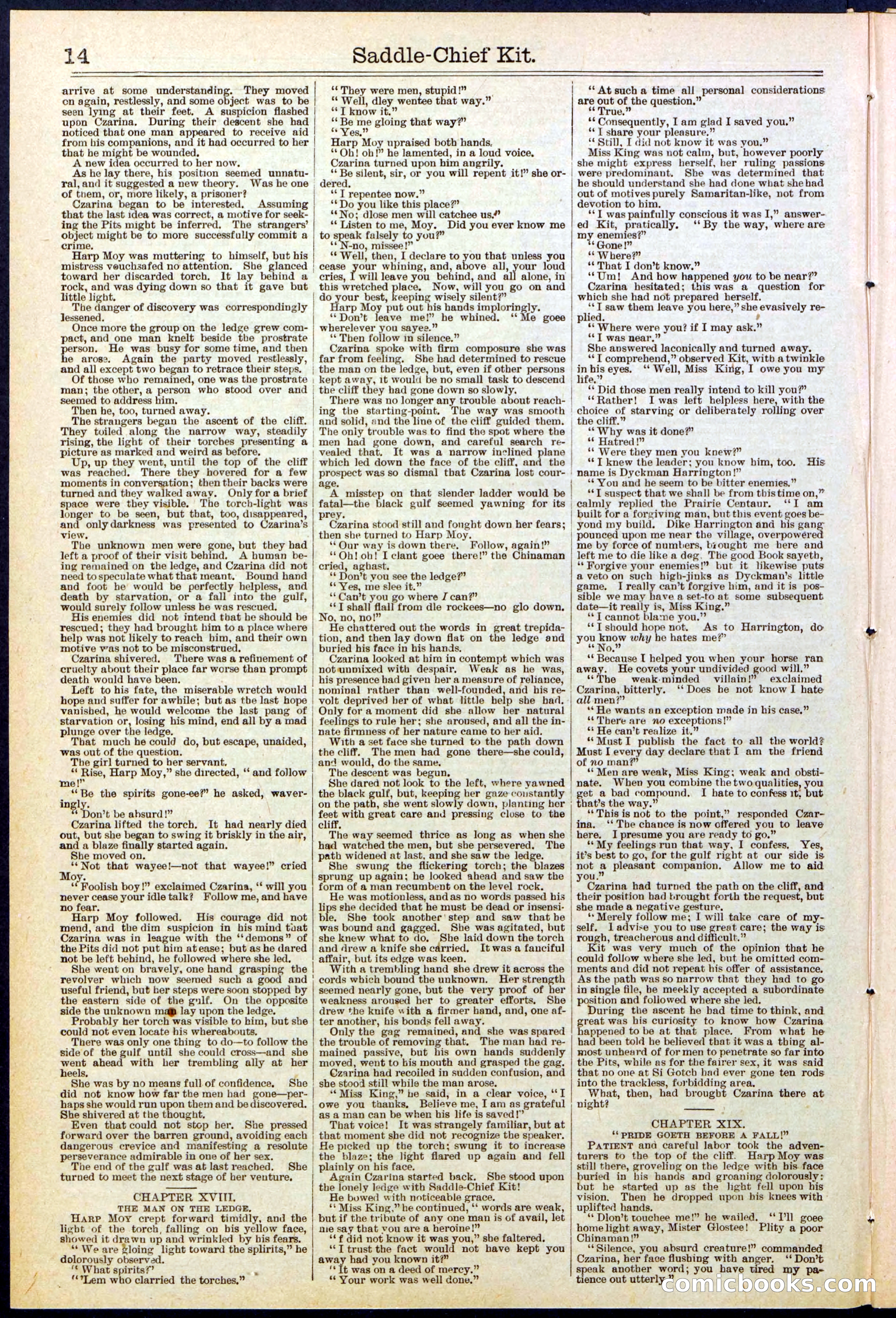 Beadle's New York Dime Library No. 531 — page 14 of 32