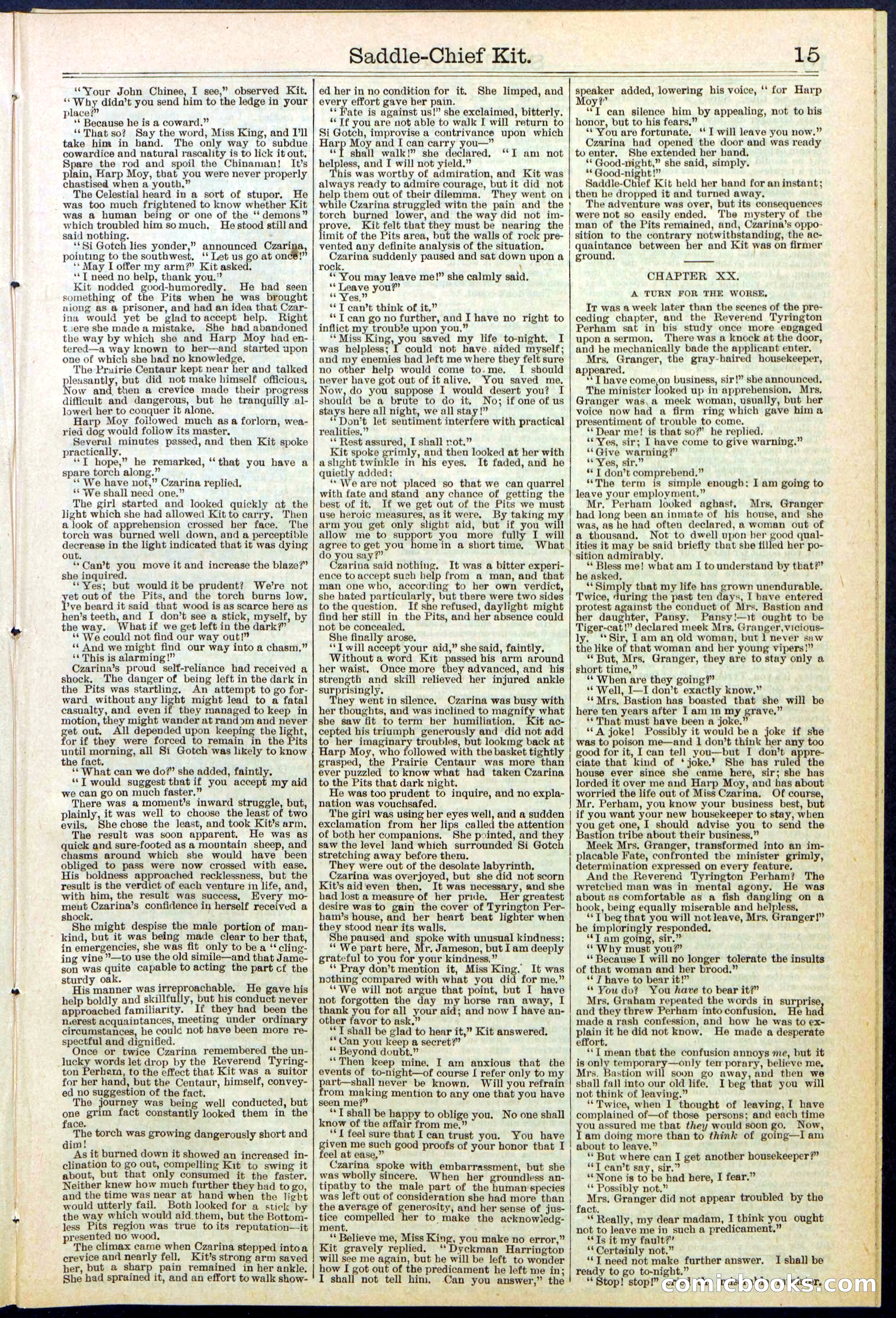 Beadle's New York Dime Library No. 531 — page 15 of 32