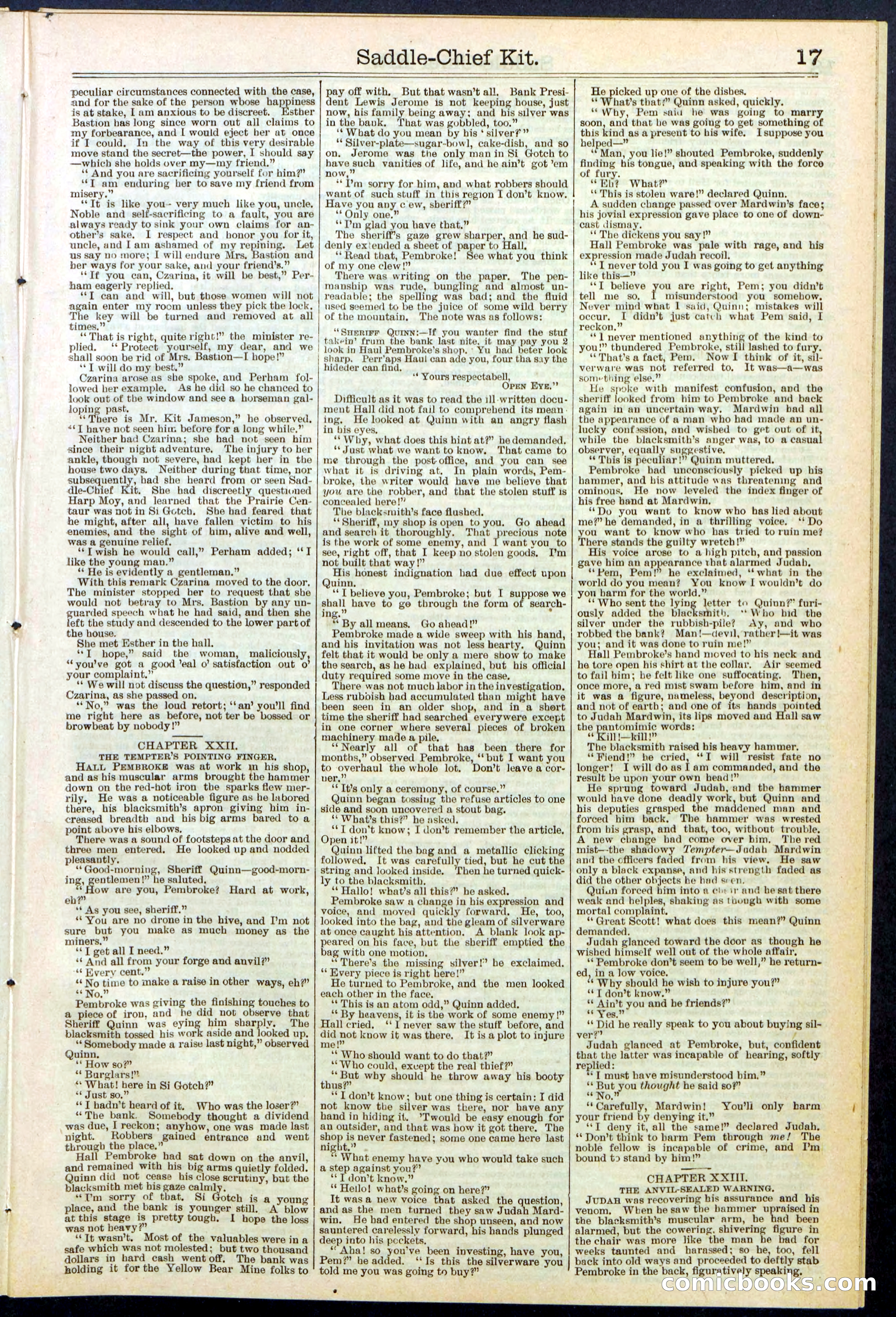 Beadle's New York Dime Library No. 531 — page 17 of 32