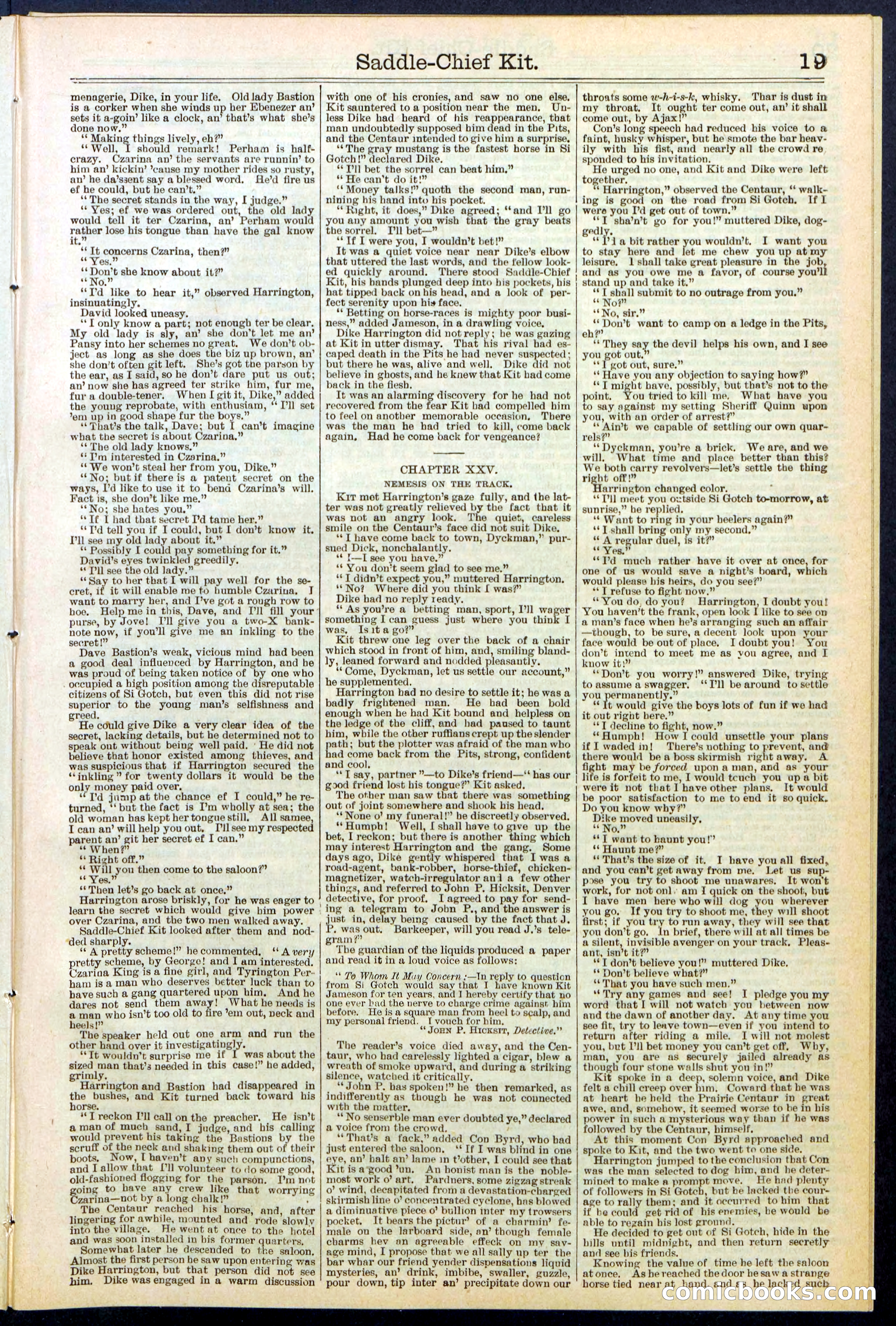 Beadle's New York Dime Library No. 531 — page 19 of 32