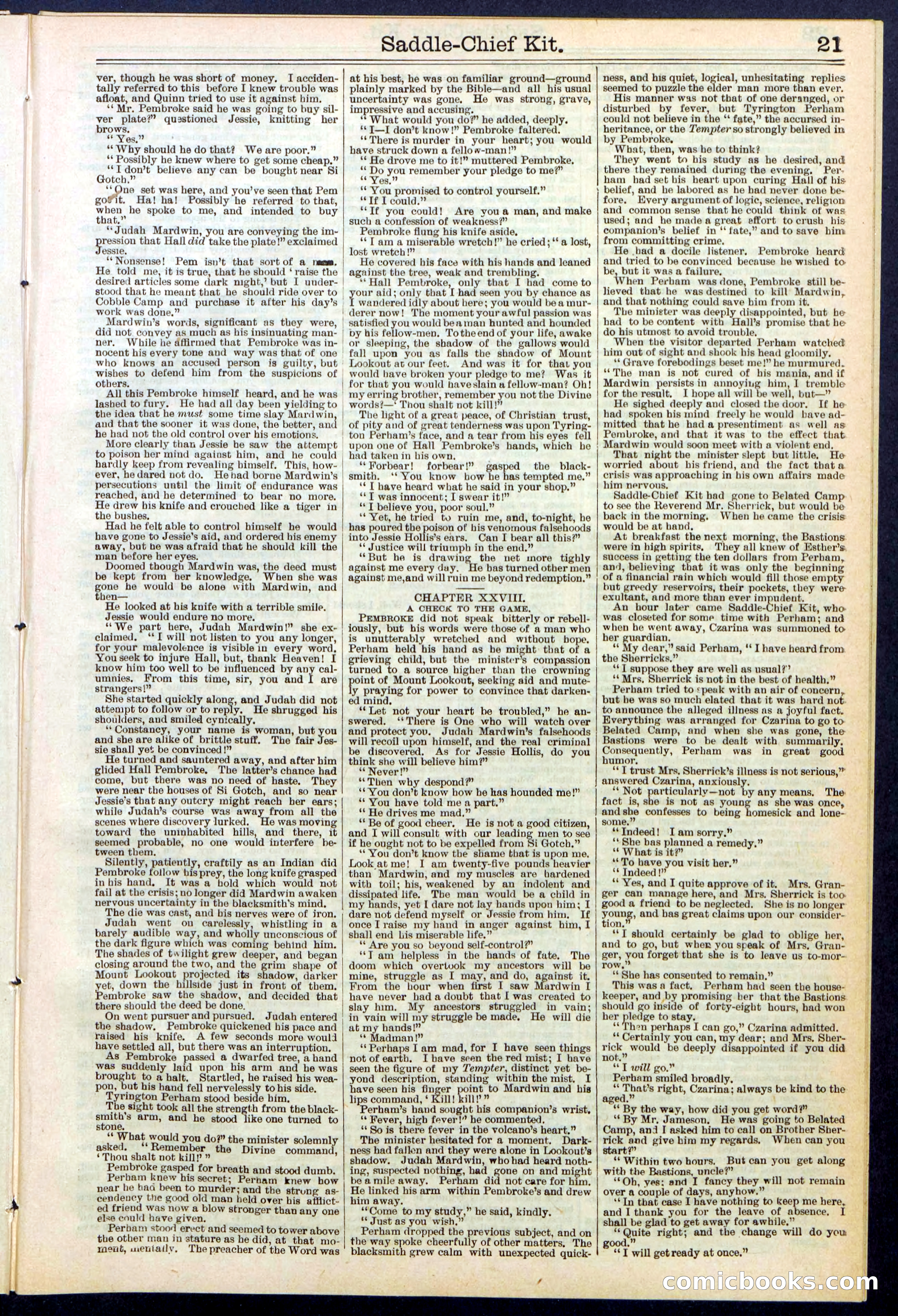 Beadle's New York Dime Library No. 531 — page 21 of 32