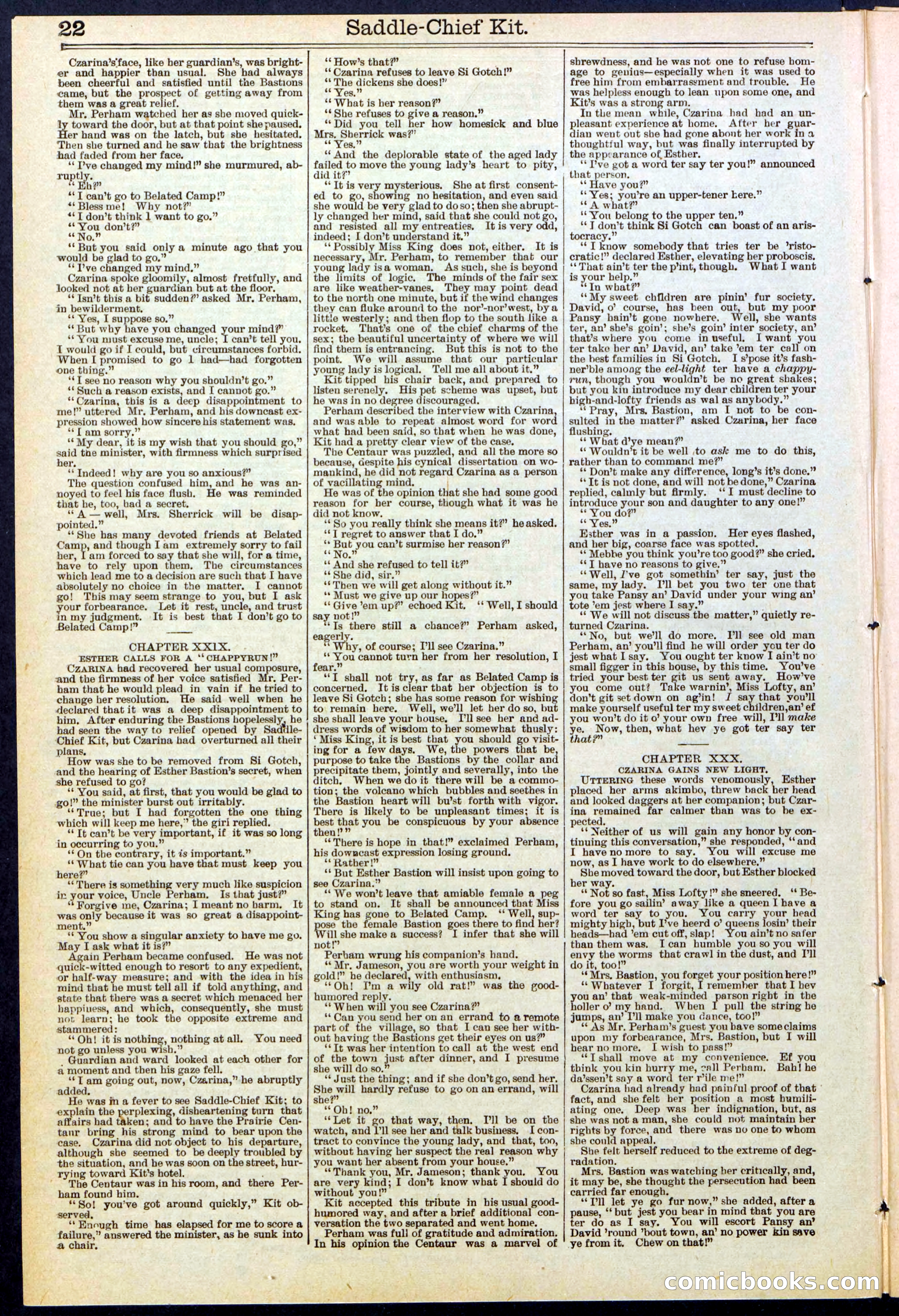 Beadle's New York Dime Library No. 531 — page 22 of 32