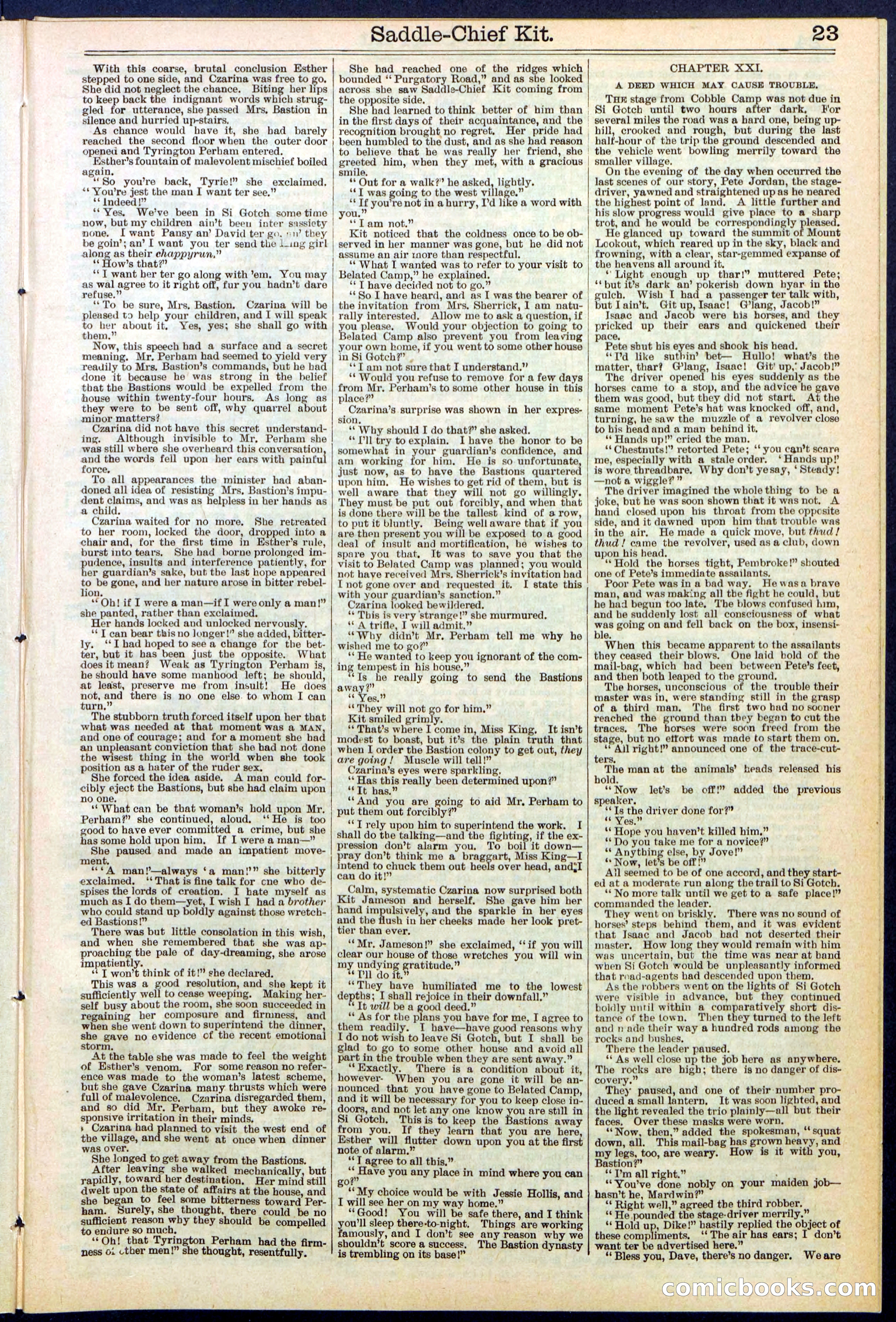 Beadle's New York Dime Library No. 531 — page 23 of 32