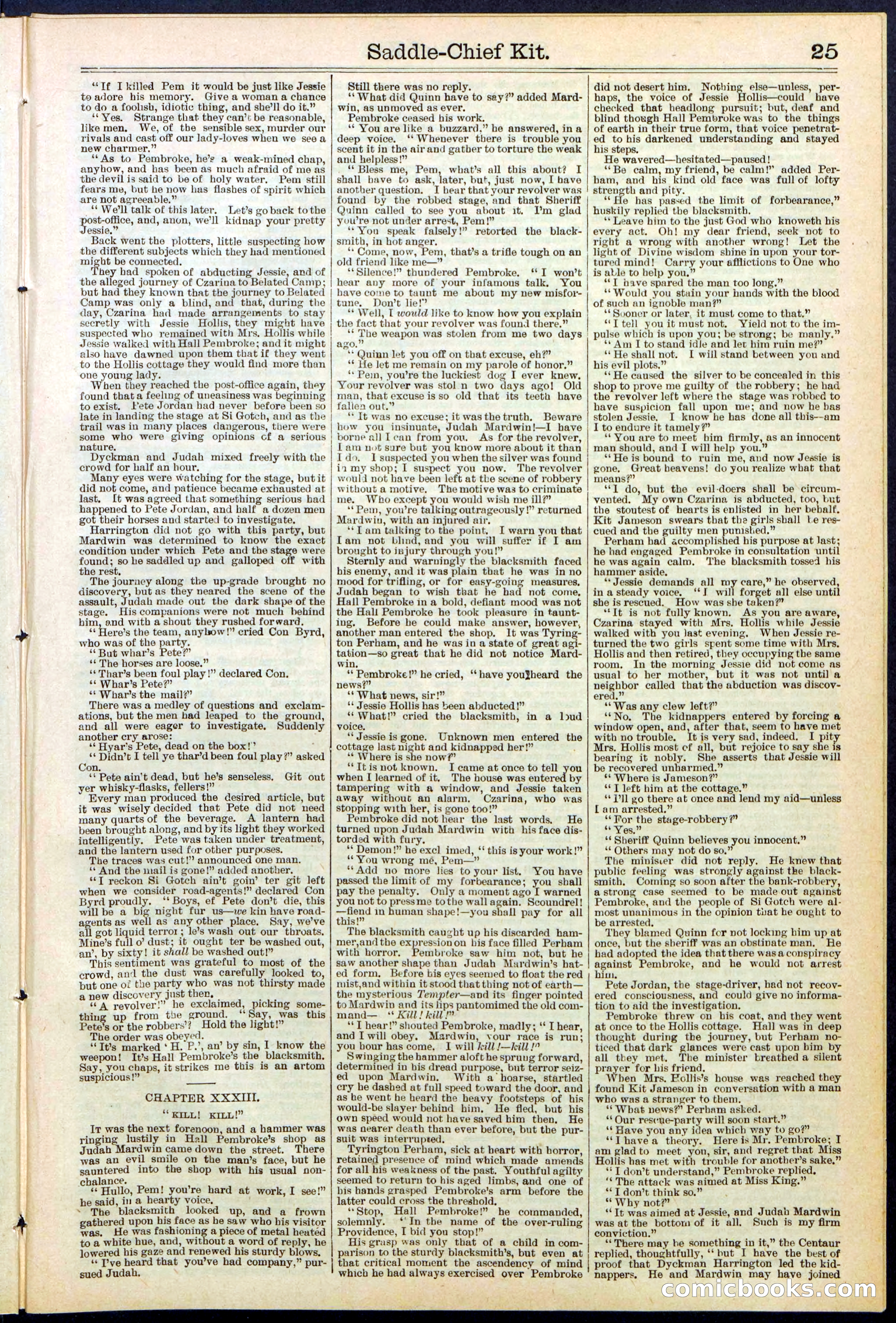 Beadle's New York Dime Library No. 531 — page 25 of 32