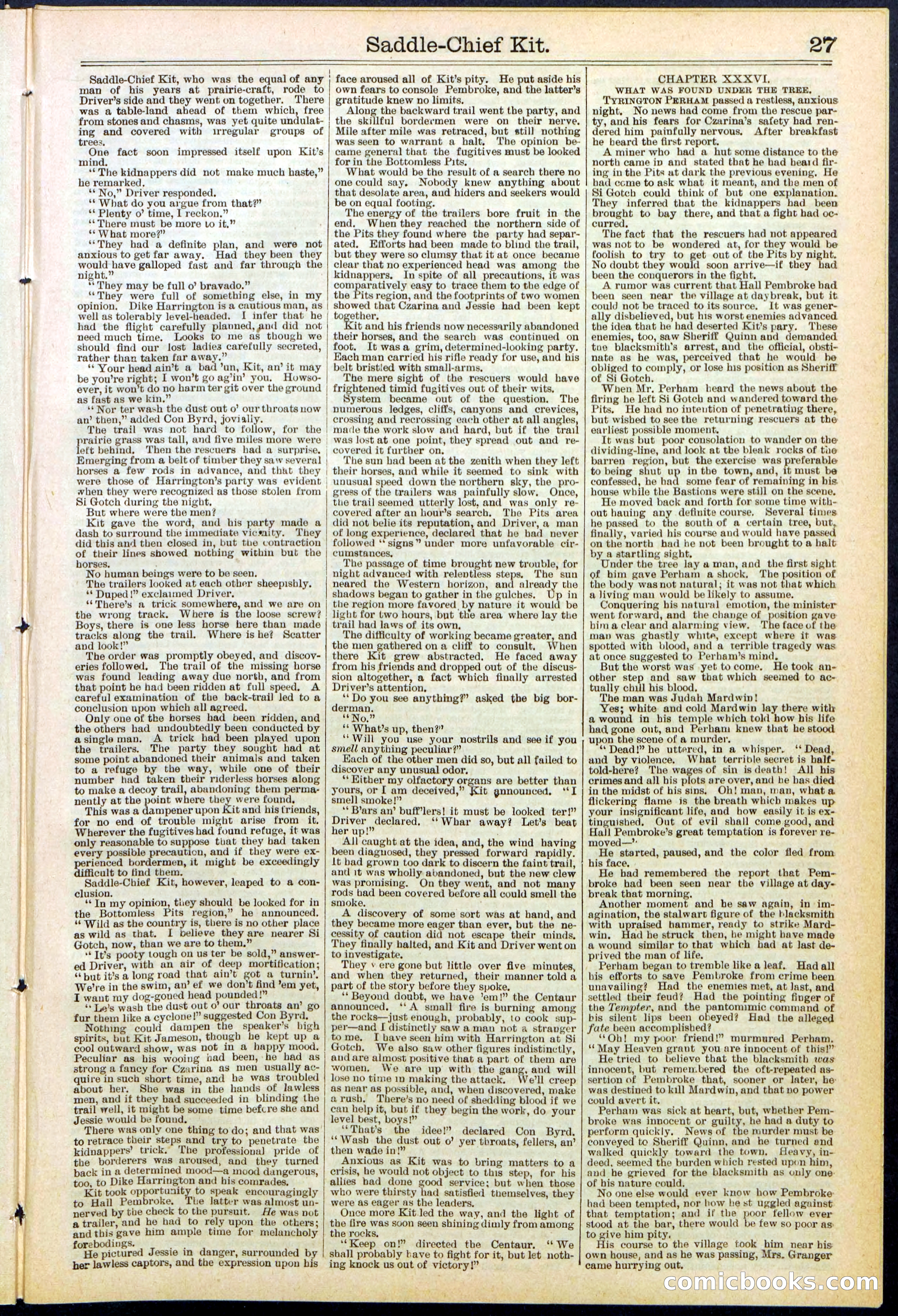Beadle's New York Dime Library No. 531 — page 27 of 32
