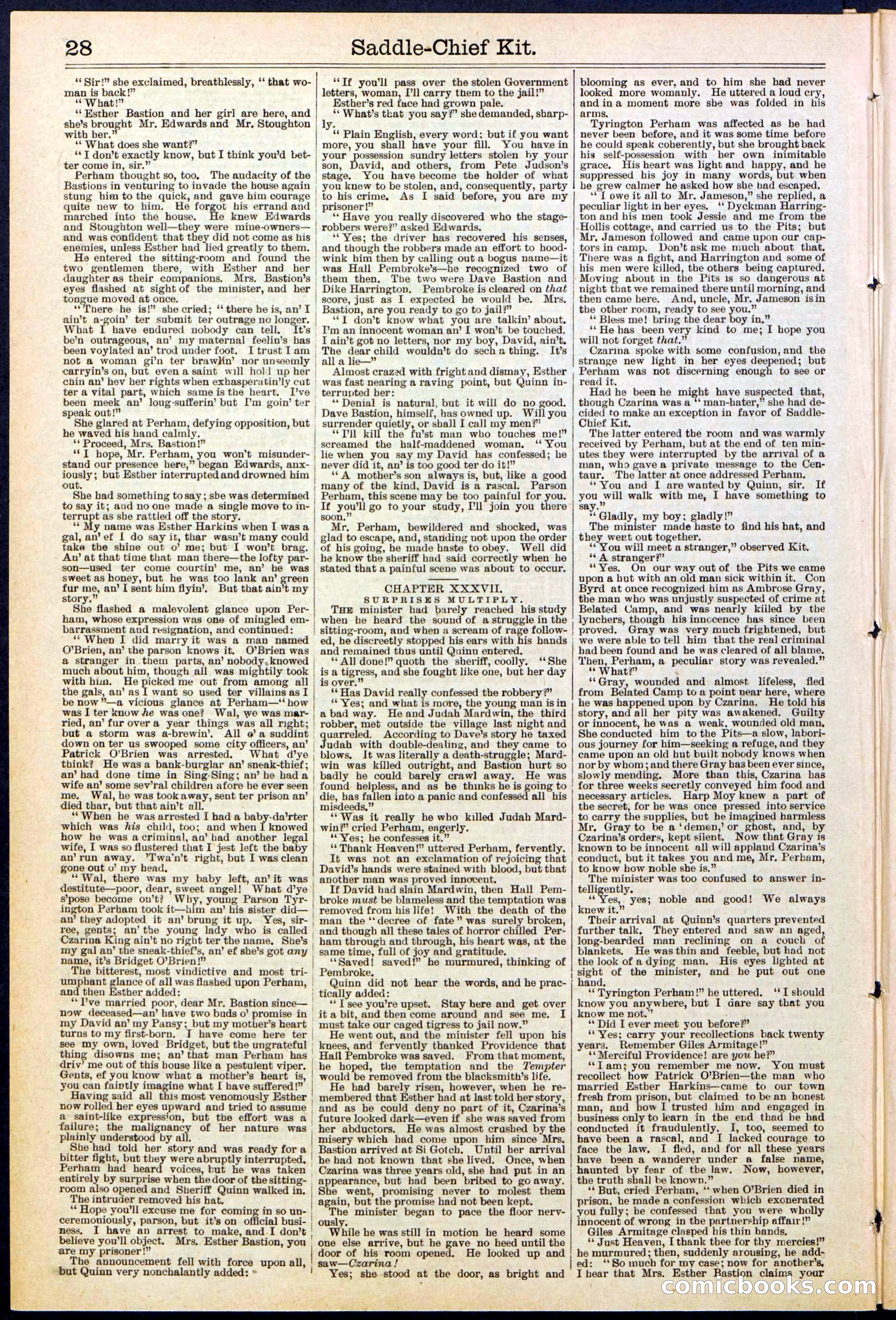 Beadle's New York Dime Library No. 531 — page 28 of 32