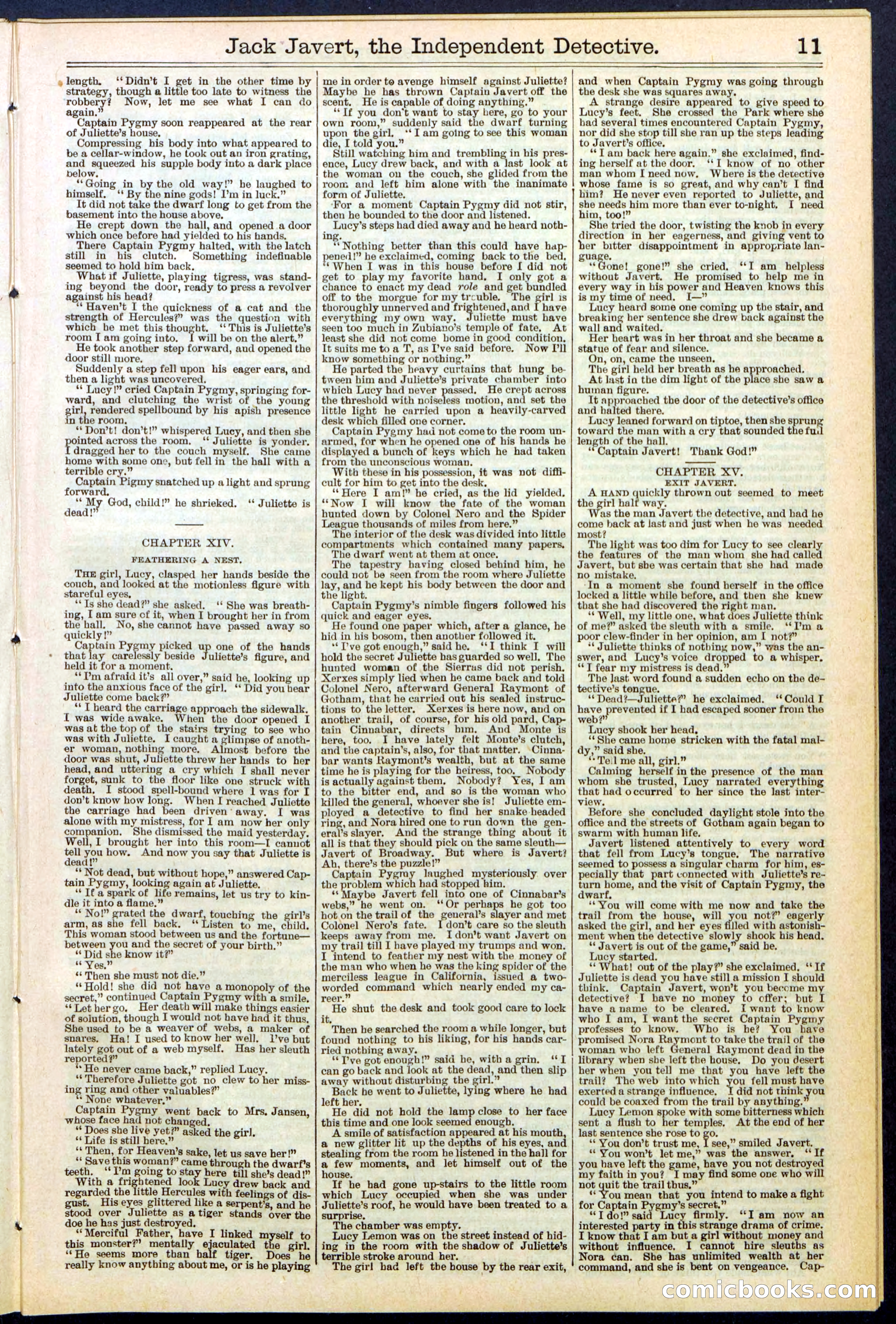 Beadle's New York Dime Library, No. 532 — page 11 of 32