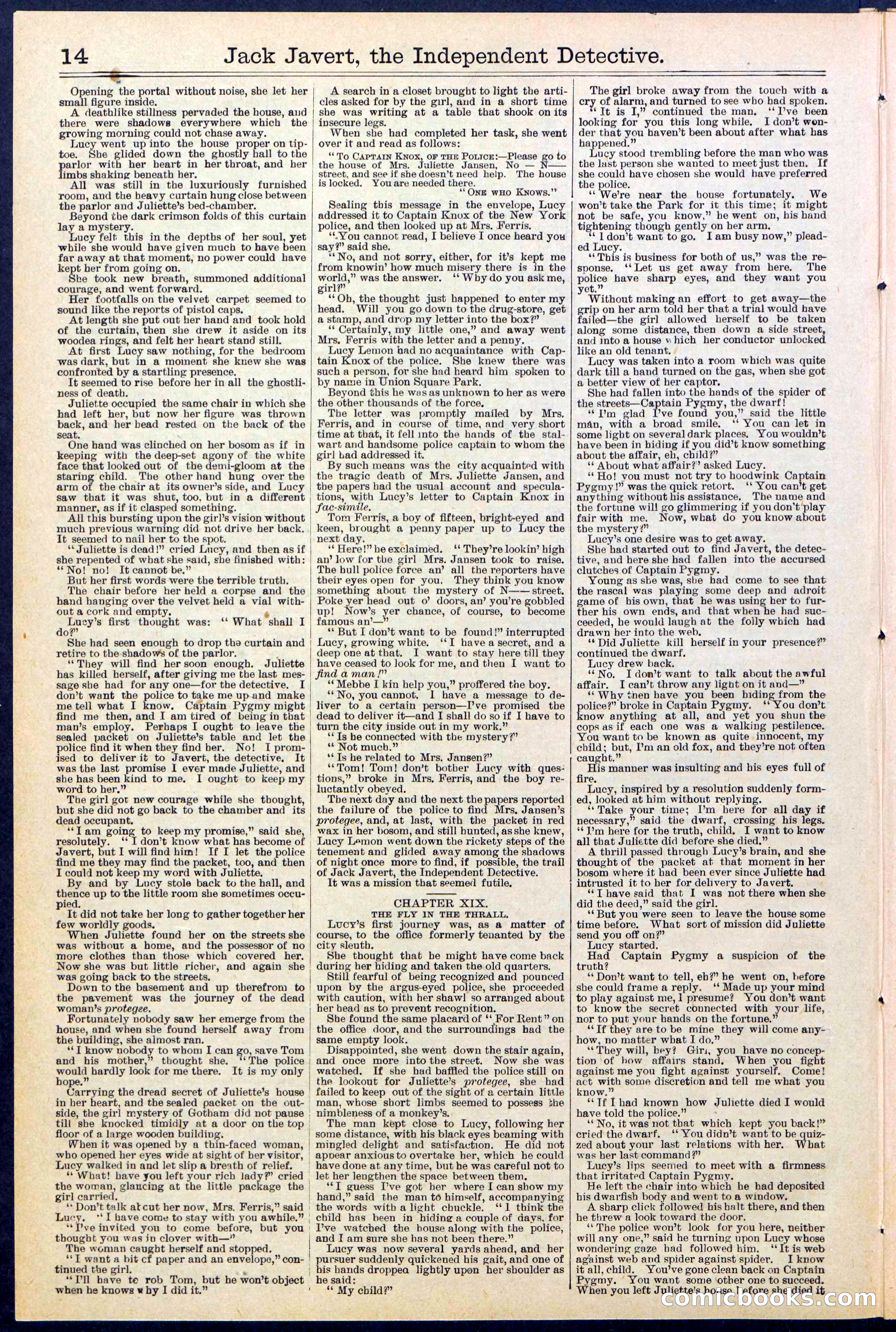Beadle's New York Dime Library, No. 532 — page 14 of 32