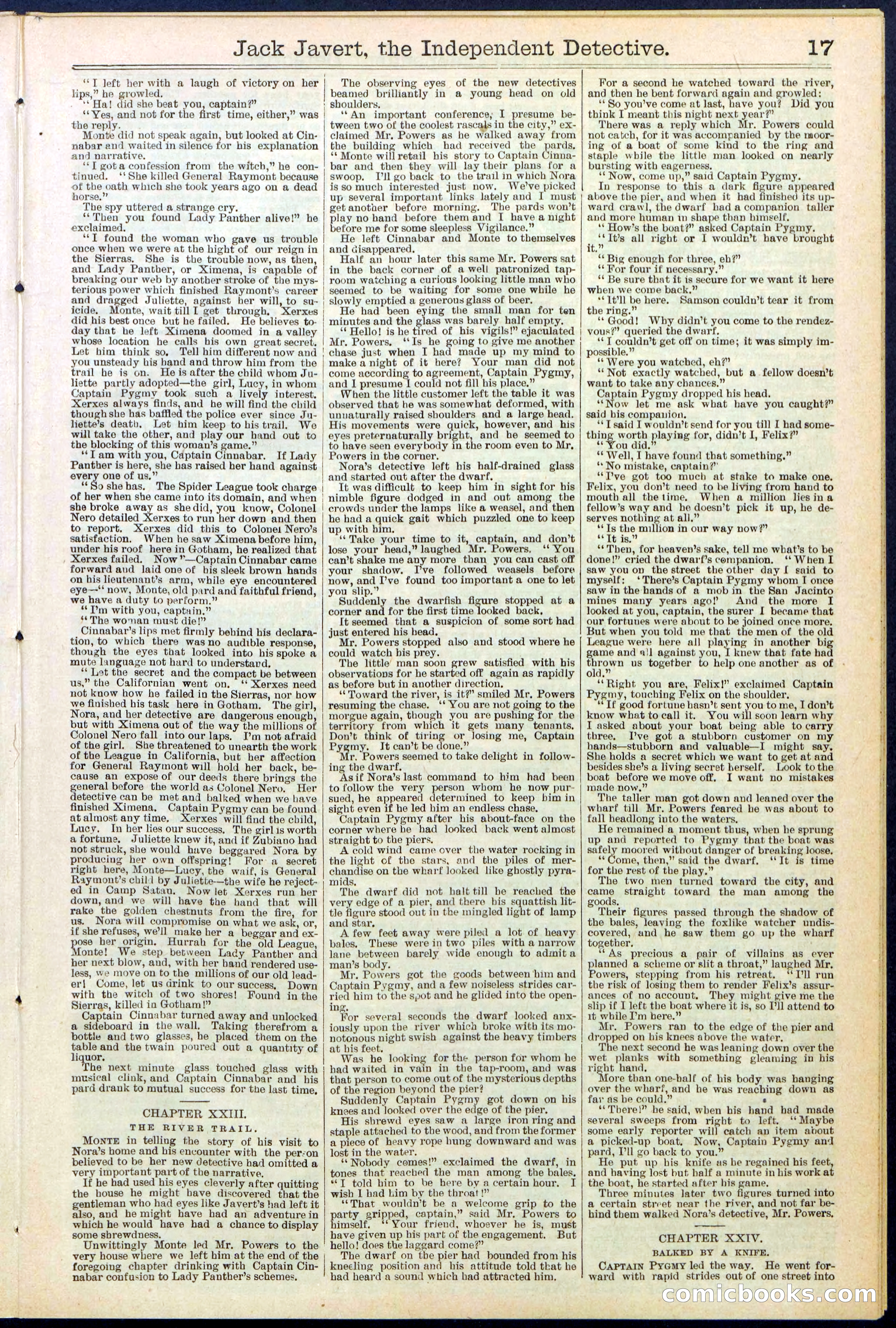 Beadle's New York Dime Library, No. 532 — page 17 of 32