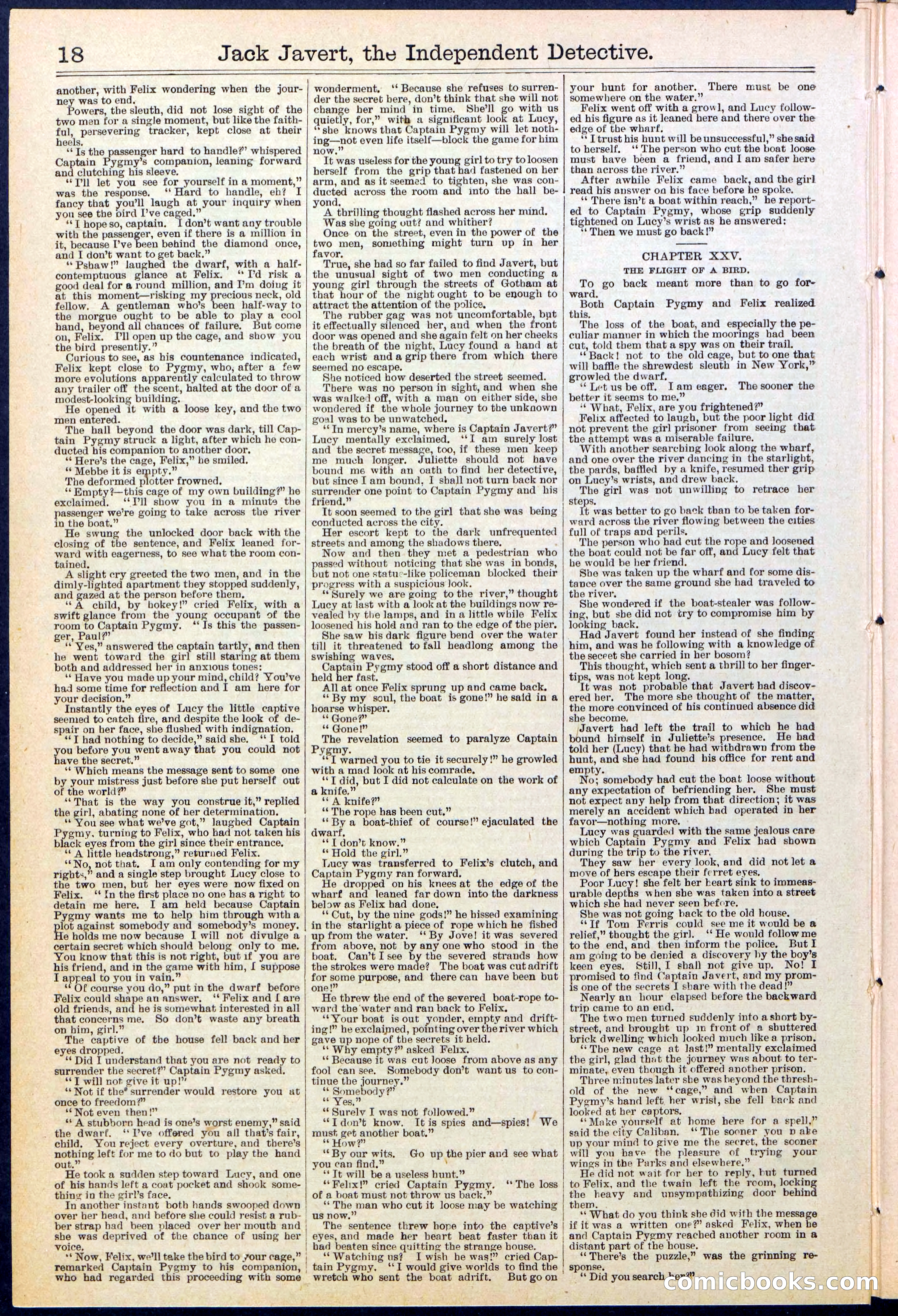 Beadle's New York Dime Library, No. 532 — page 18 of 32