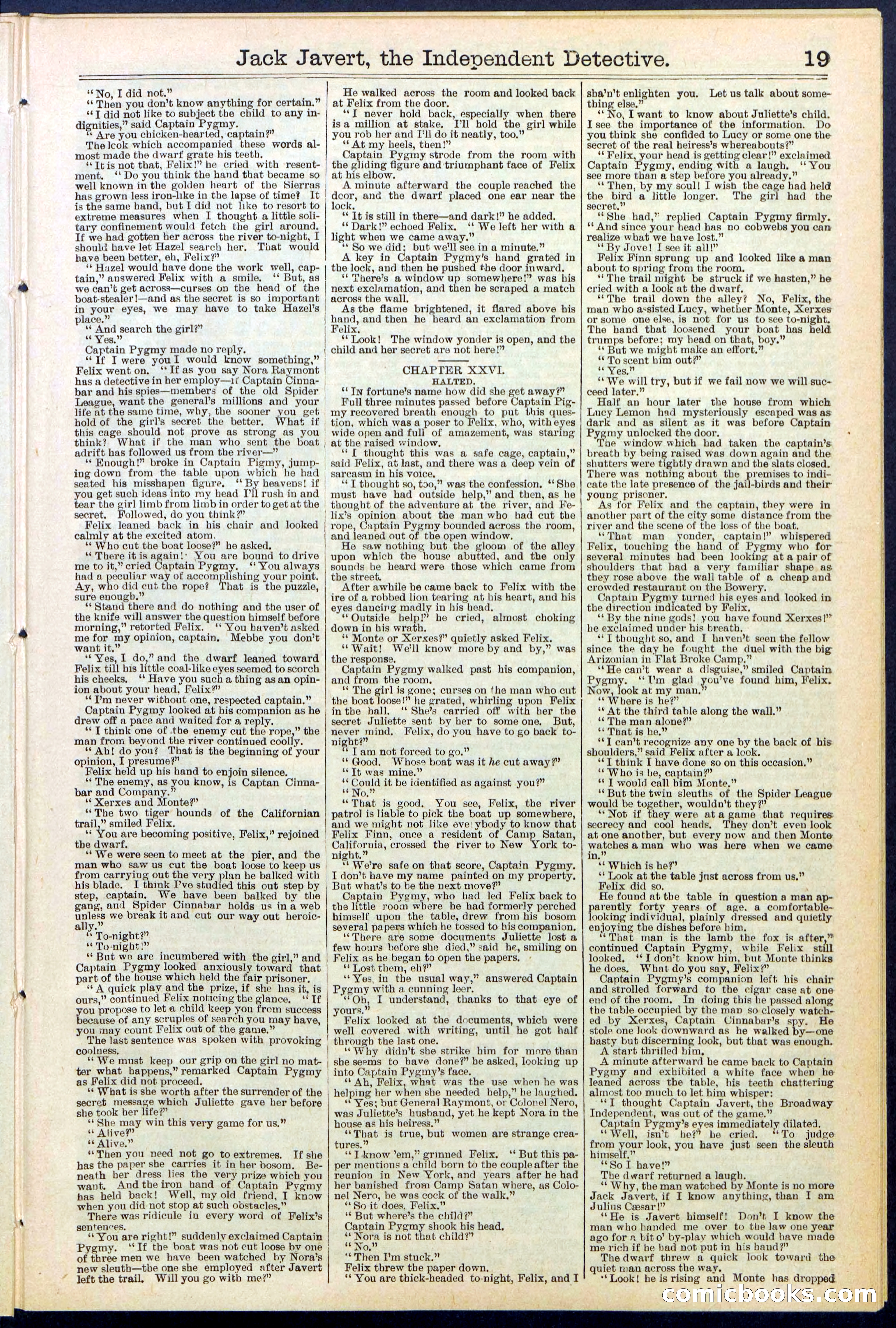 Beadle's New York Dime Library, No. 532 — page 19 of 32