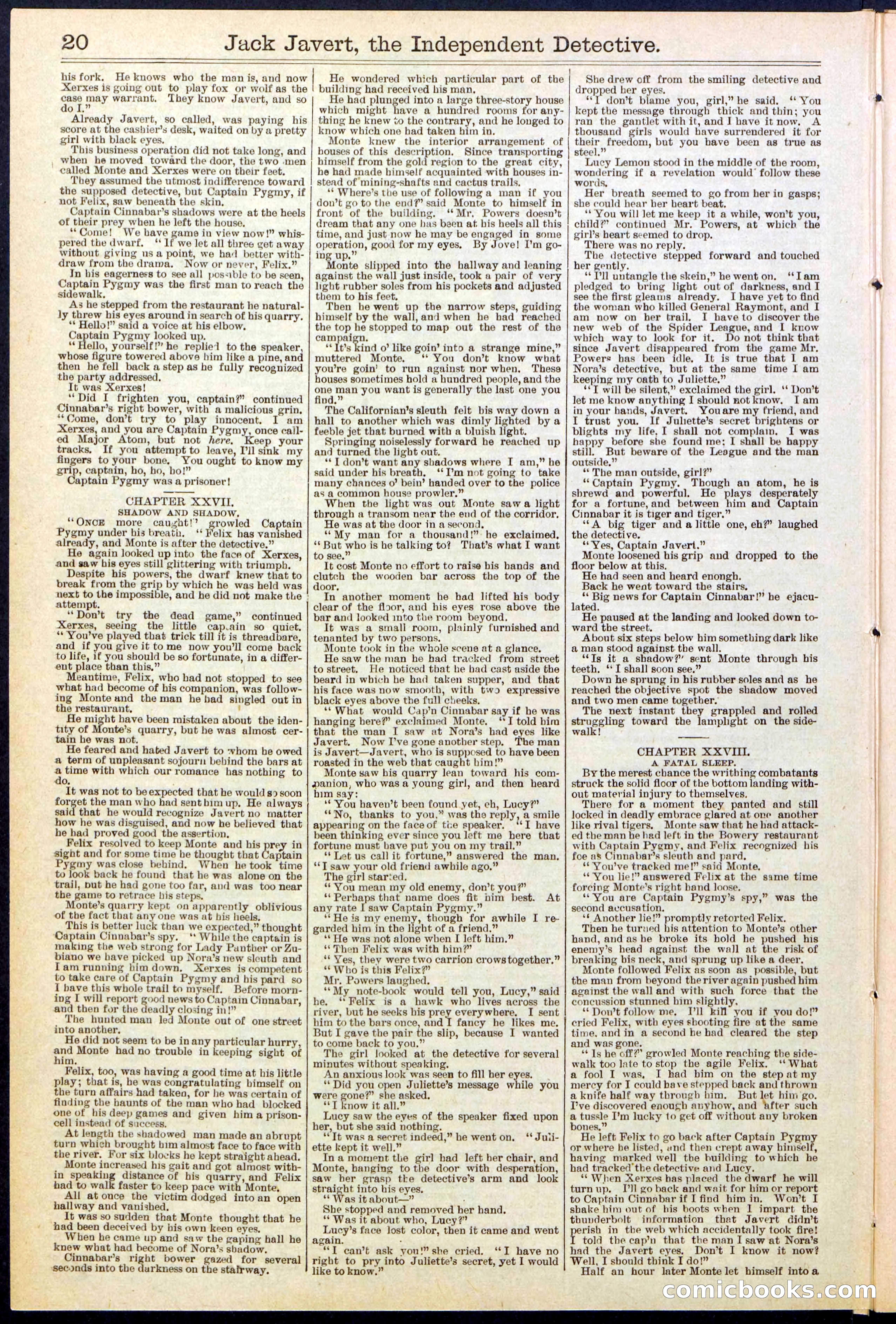 Beadle's New York Dime Library, No. 532 — page 20 of 32
