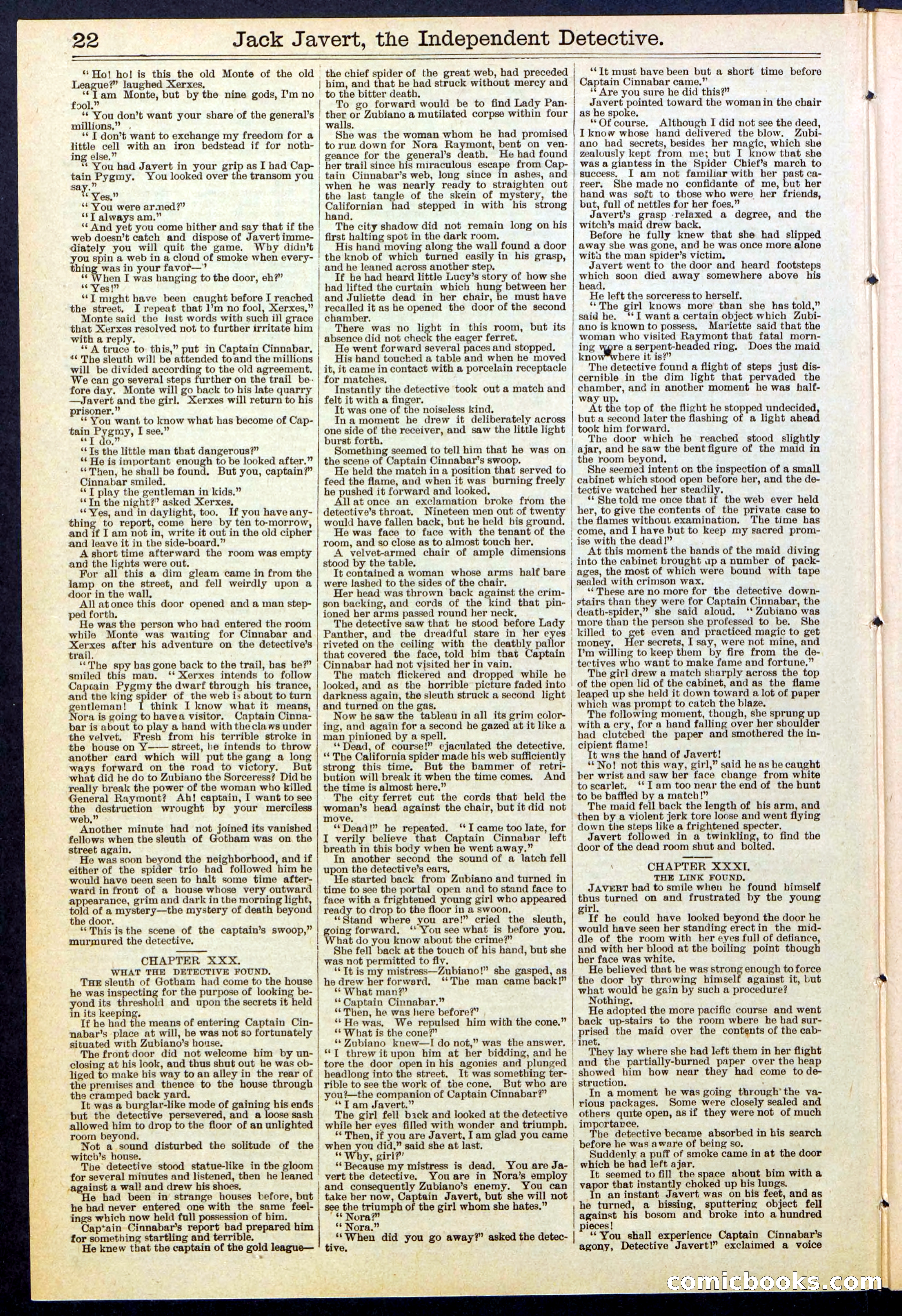 Beadle's New York Dime Library, No. 532 — page 22 of 32