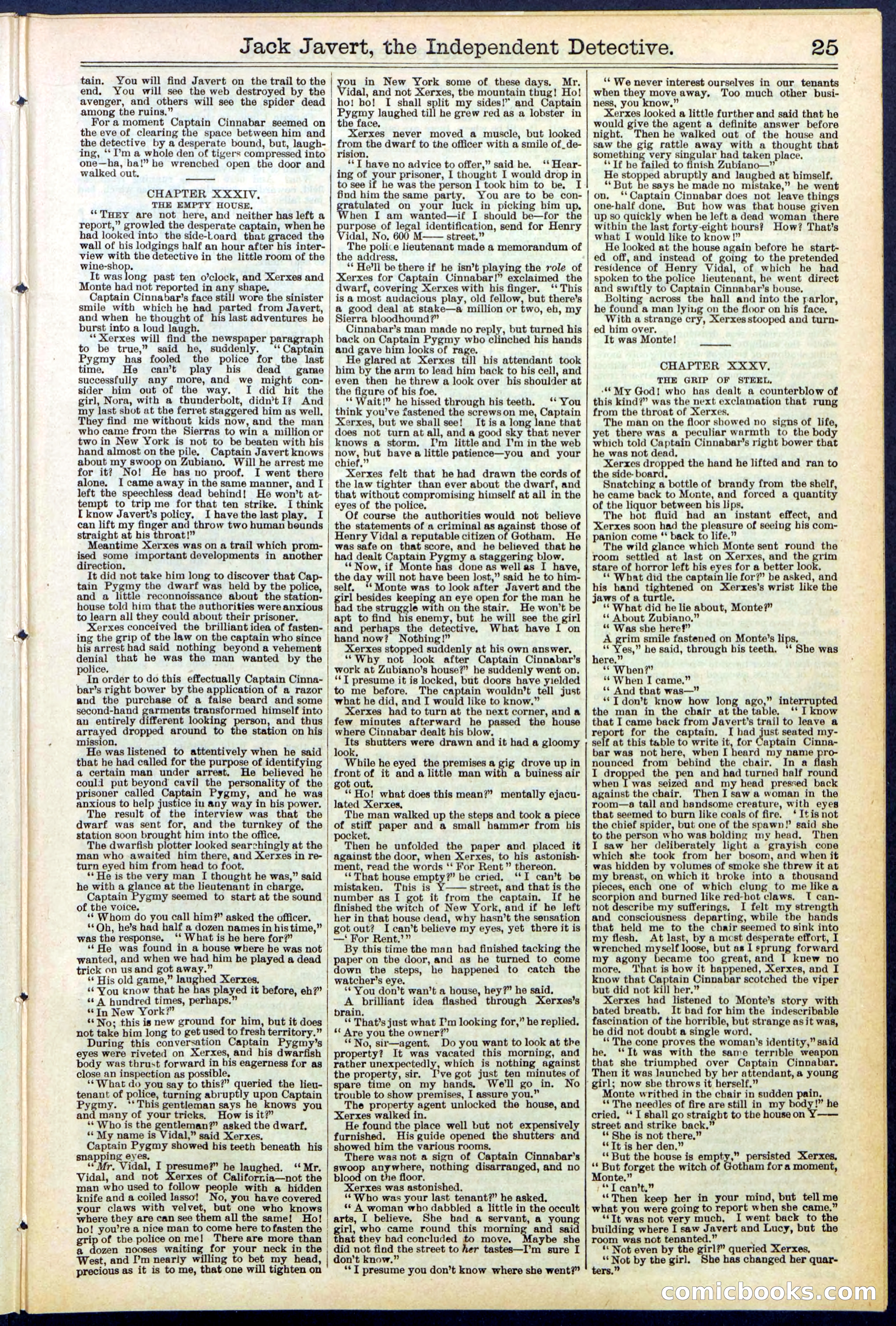 Beadle's New York Dime Library, No. 532 — page 25 of 32