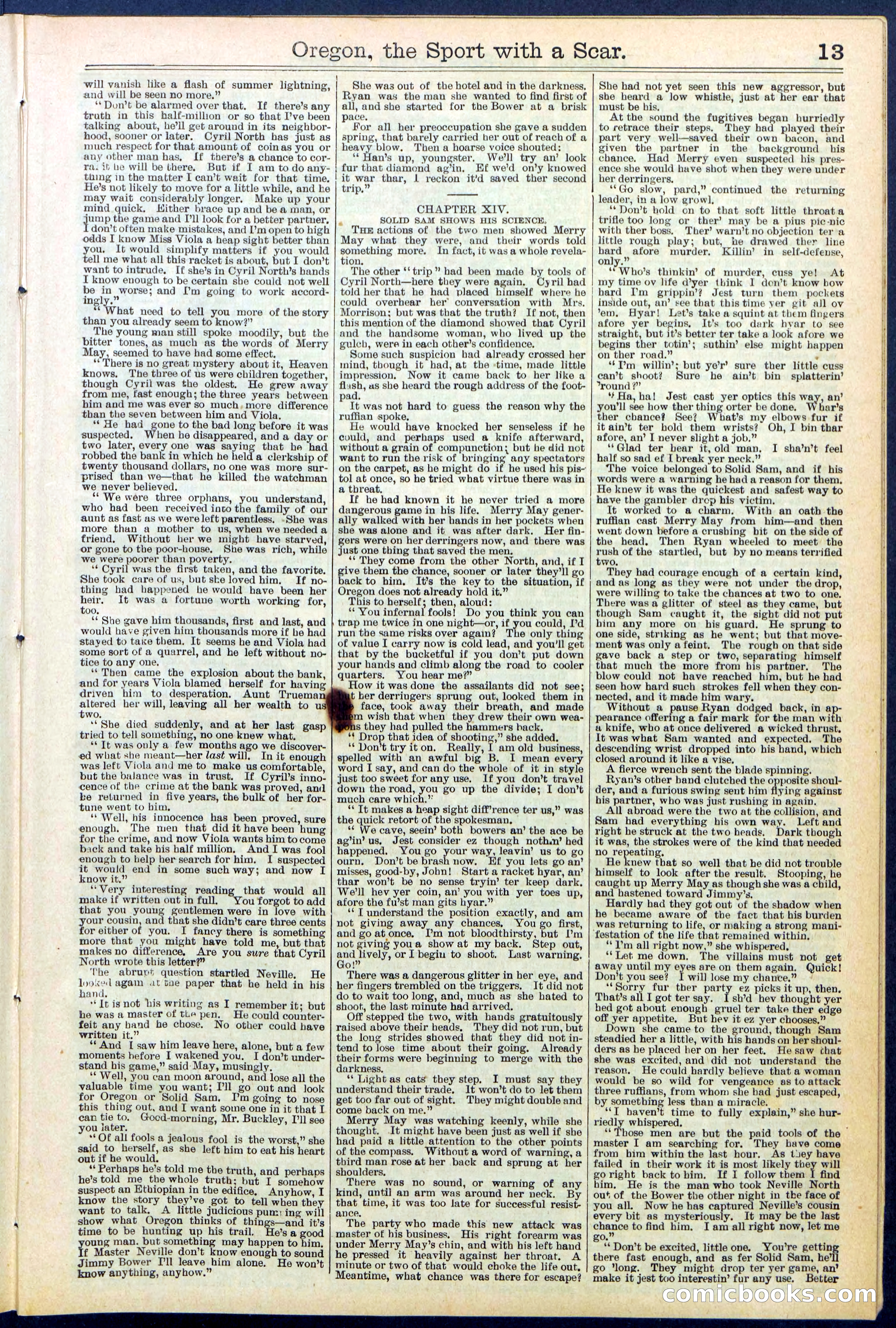 Beadle's New York Dime Library No. 533 — page 13 of 32