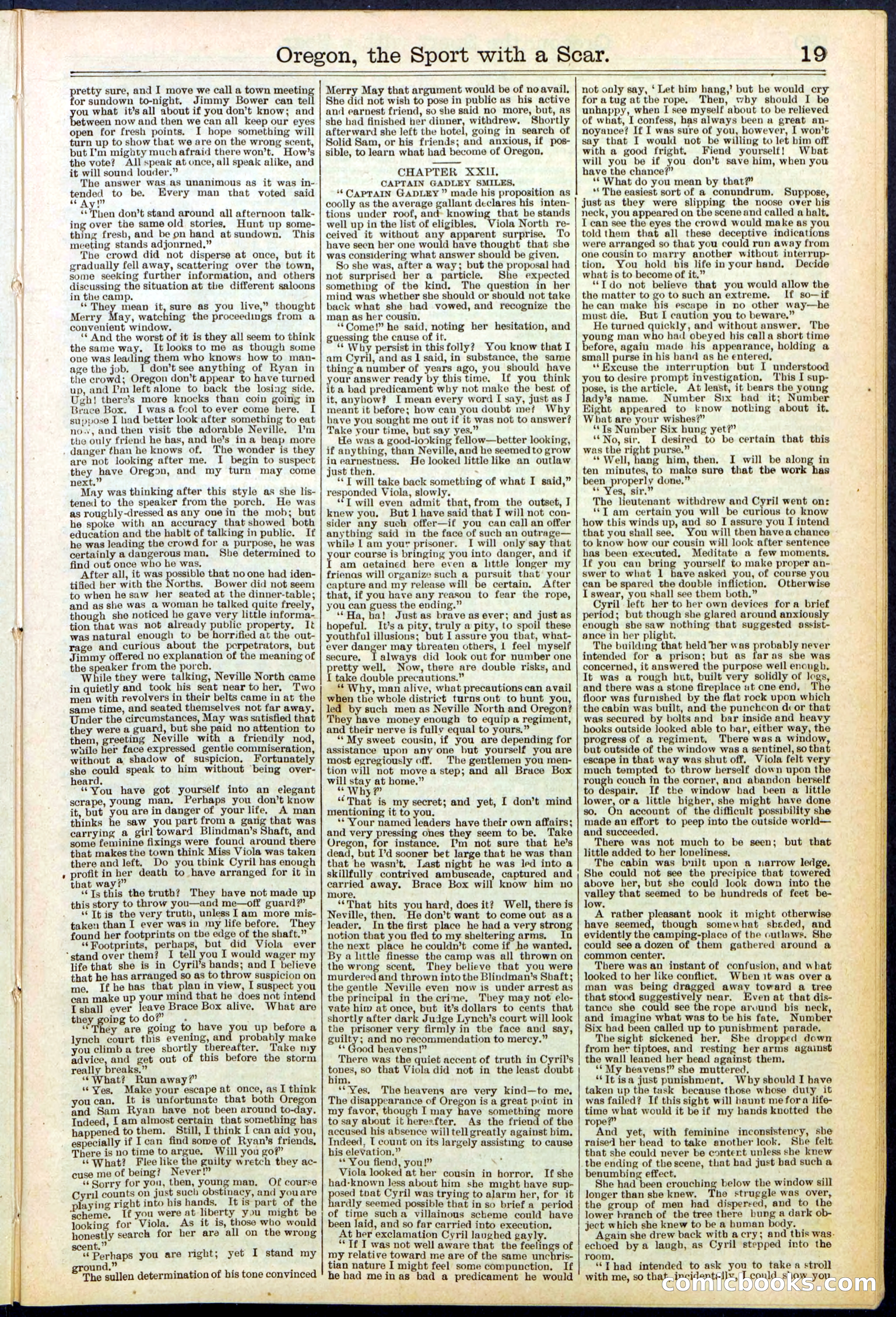 Beadle's New York Dime Library No. 533 — page 19 of 32