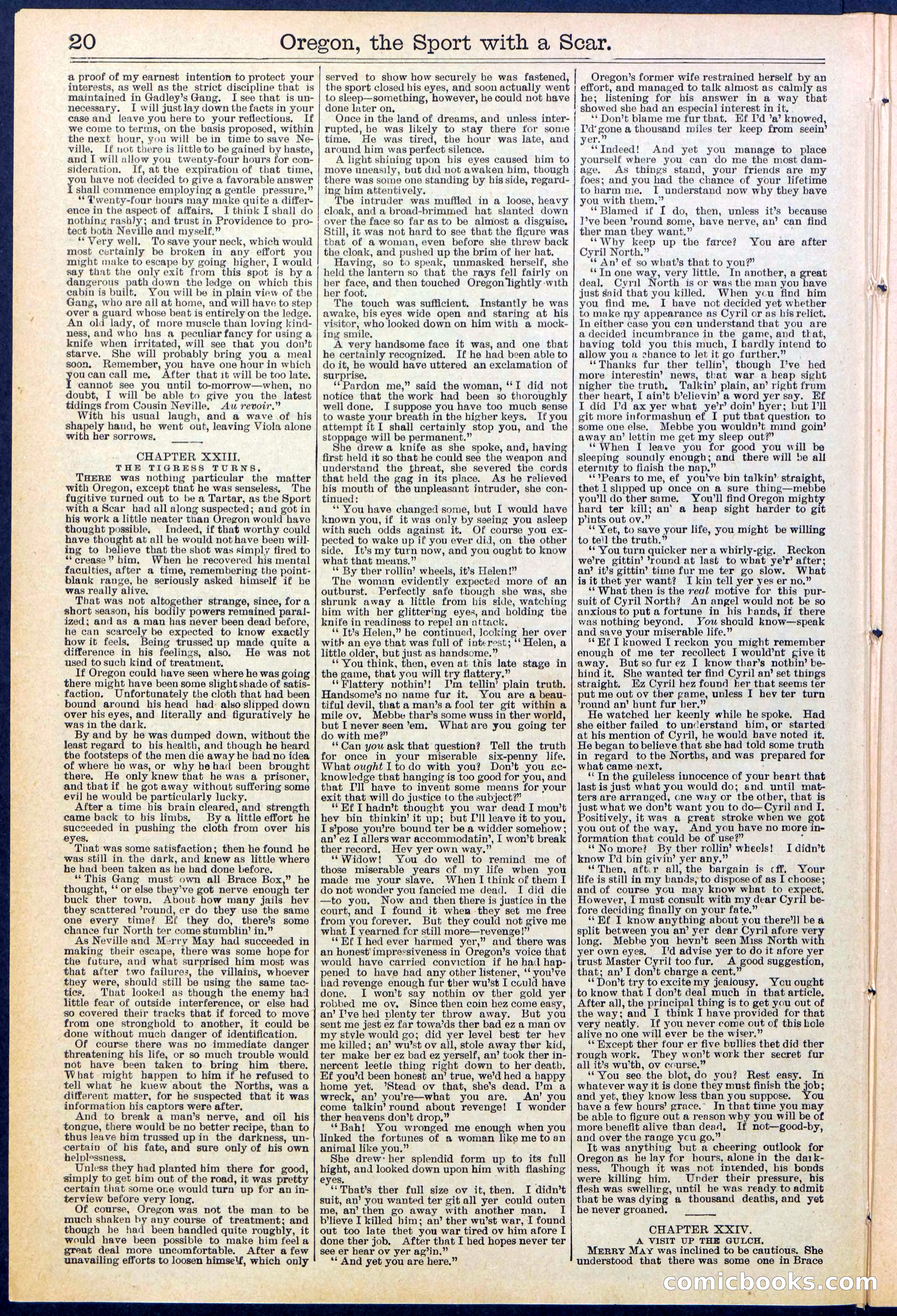 Beadle's New York Dime Library No. 533 — page 20 of 32