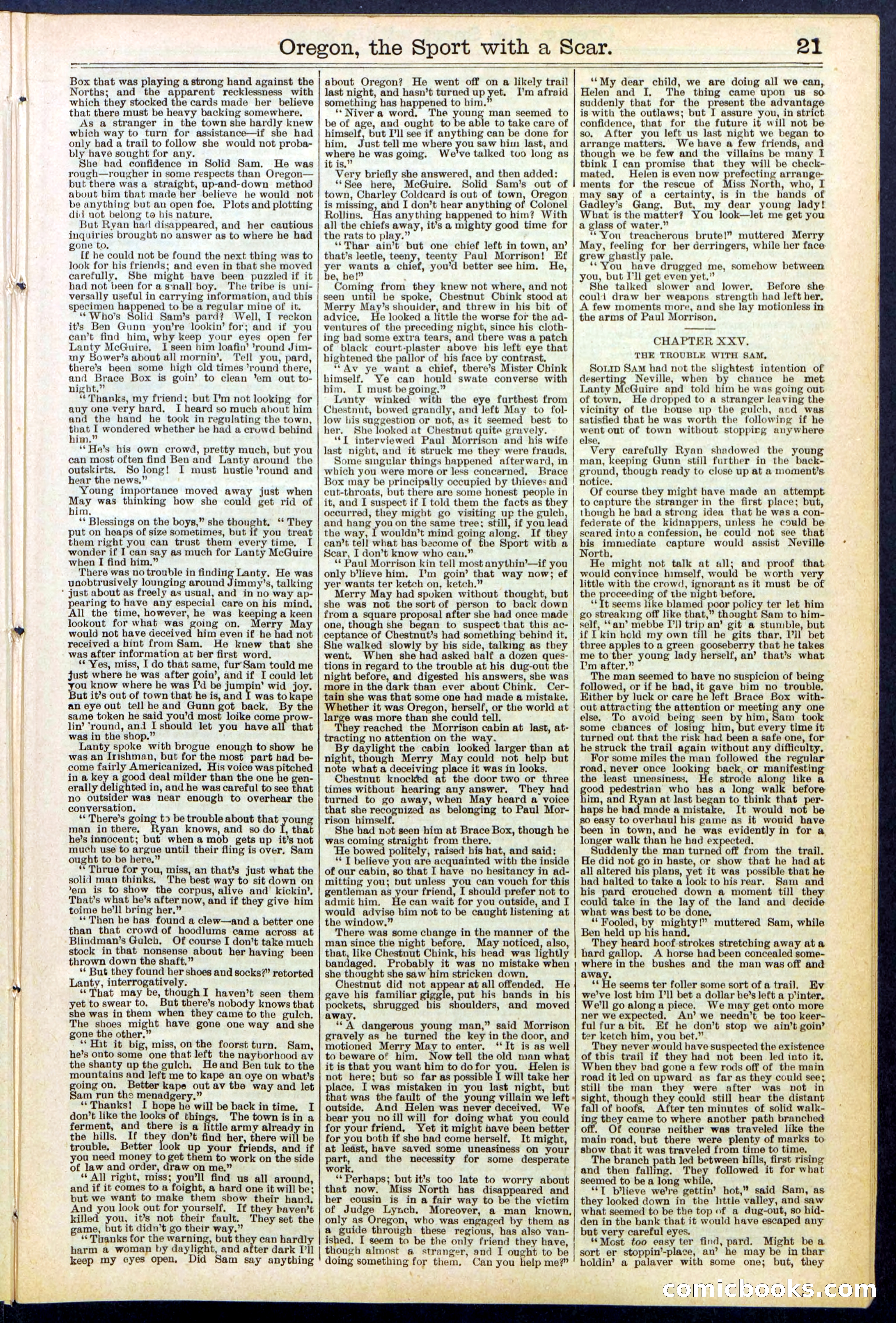 Beadle's New York Dime Library No. 533 — page 21 of 32