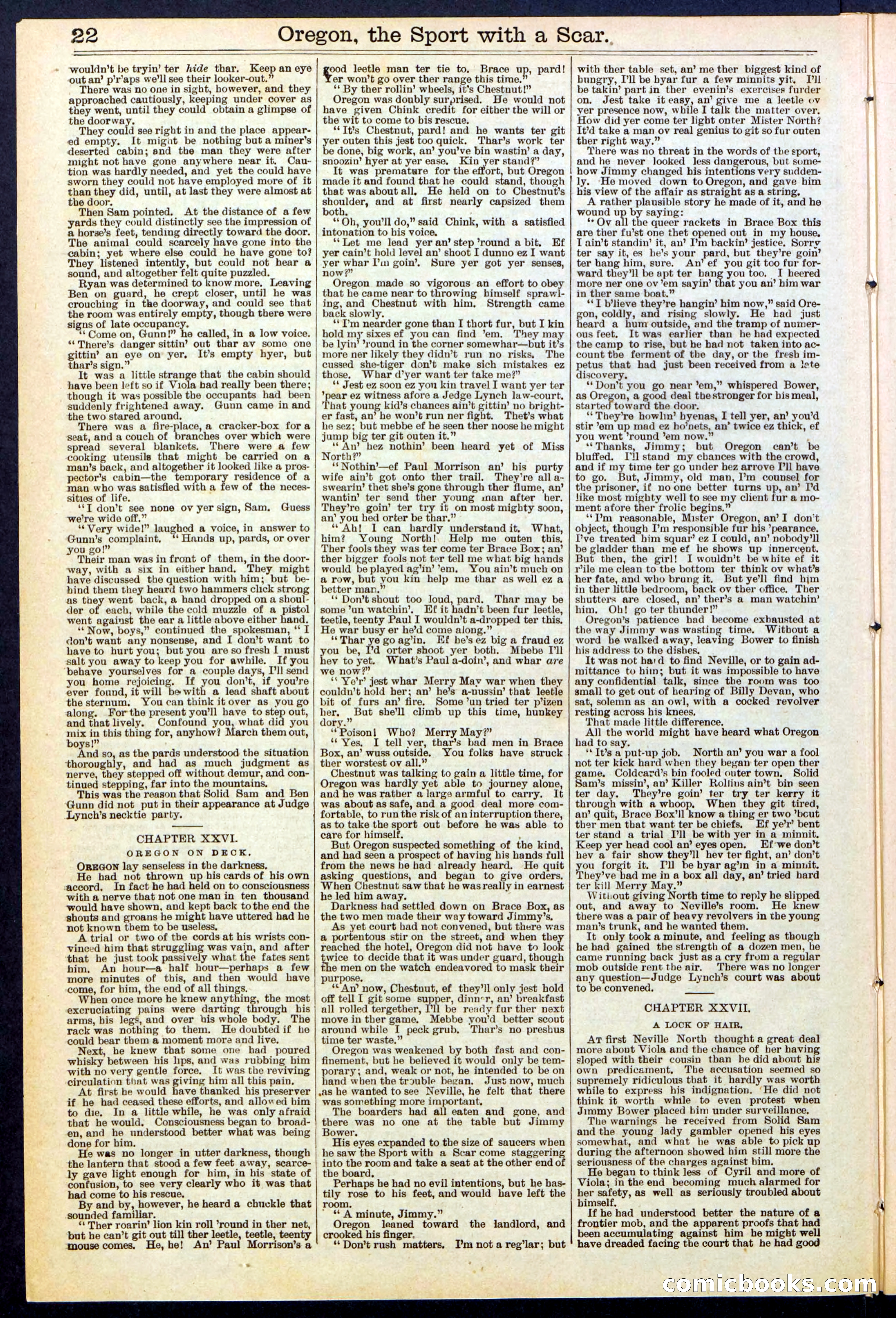 Beadle's New York Dime Library No. 533 — page 22 of 32